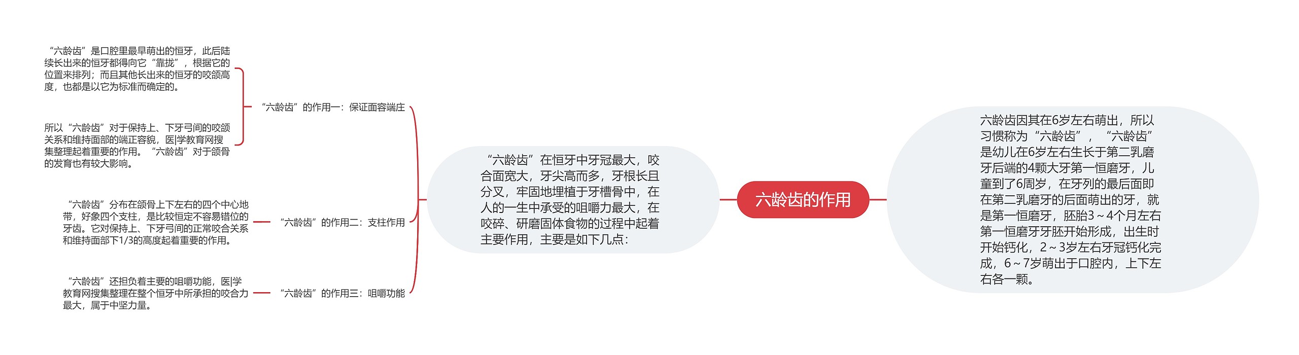 六龄齿的作用 六龄齿的作用