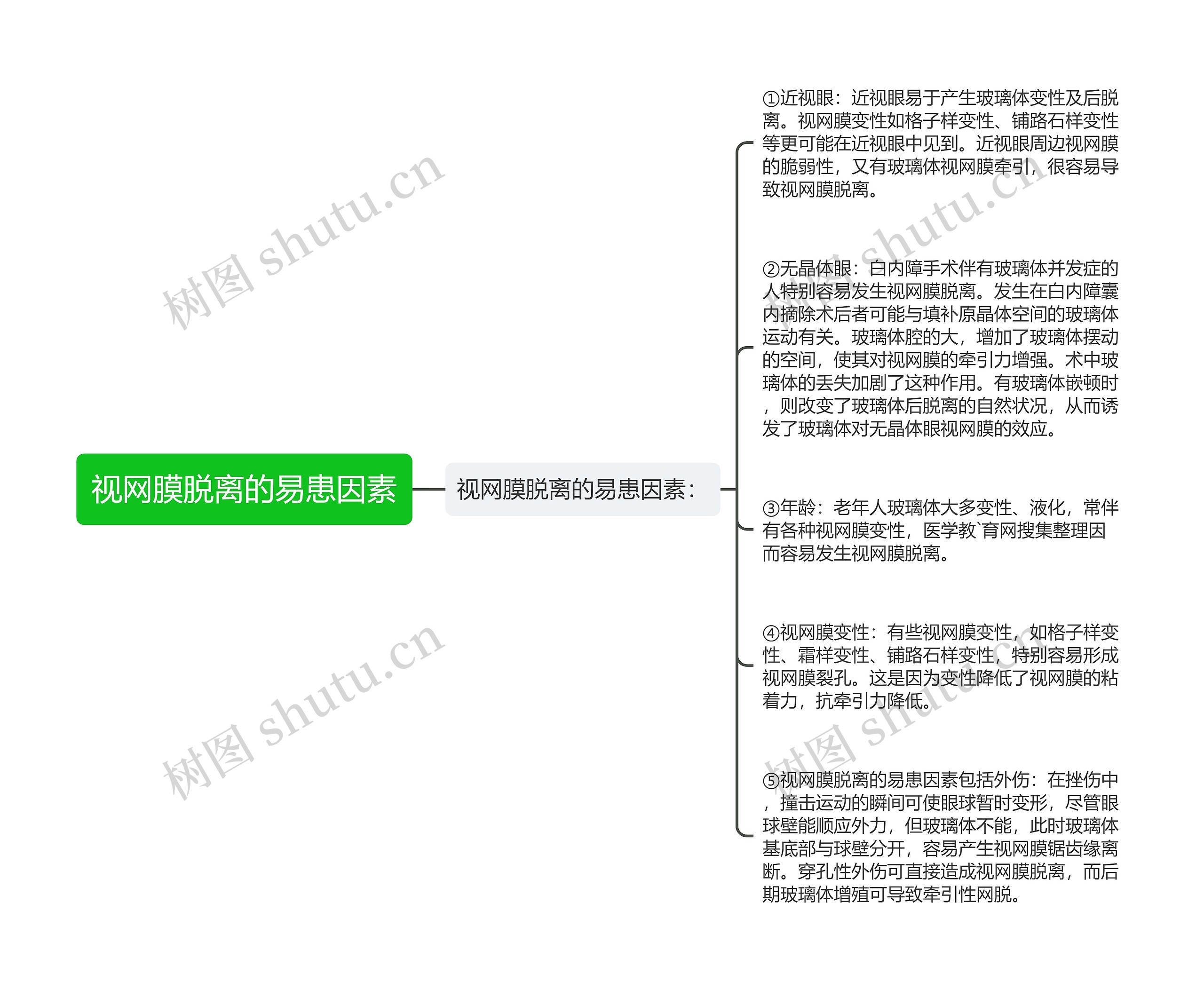 视网膜脱离的易患因素思维导图