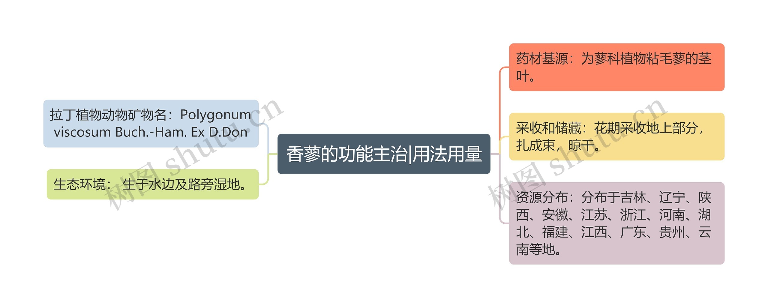 香蓼的功能主治|用法用量思维导图