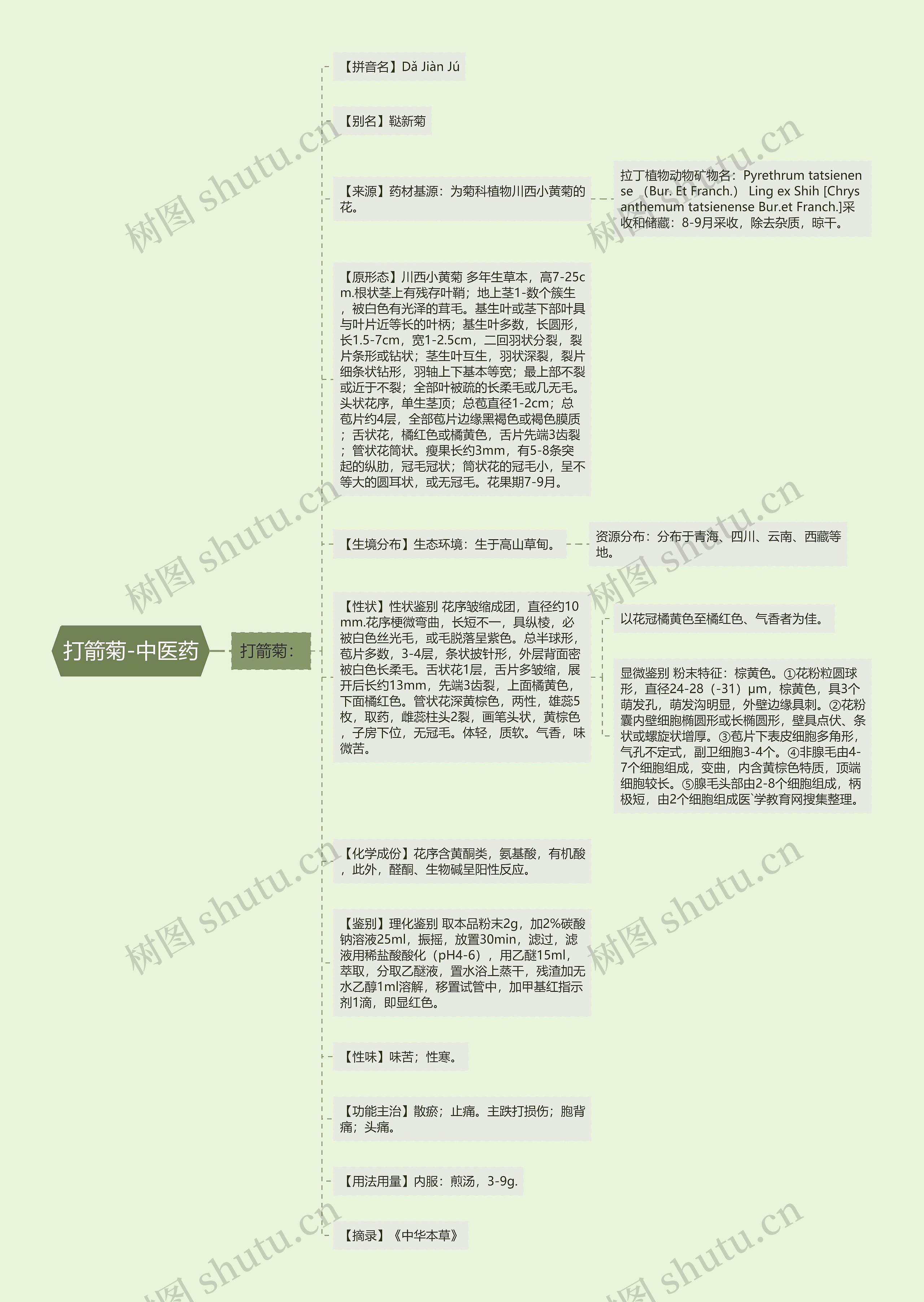 打箭菊-中医药思维导图