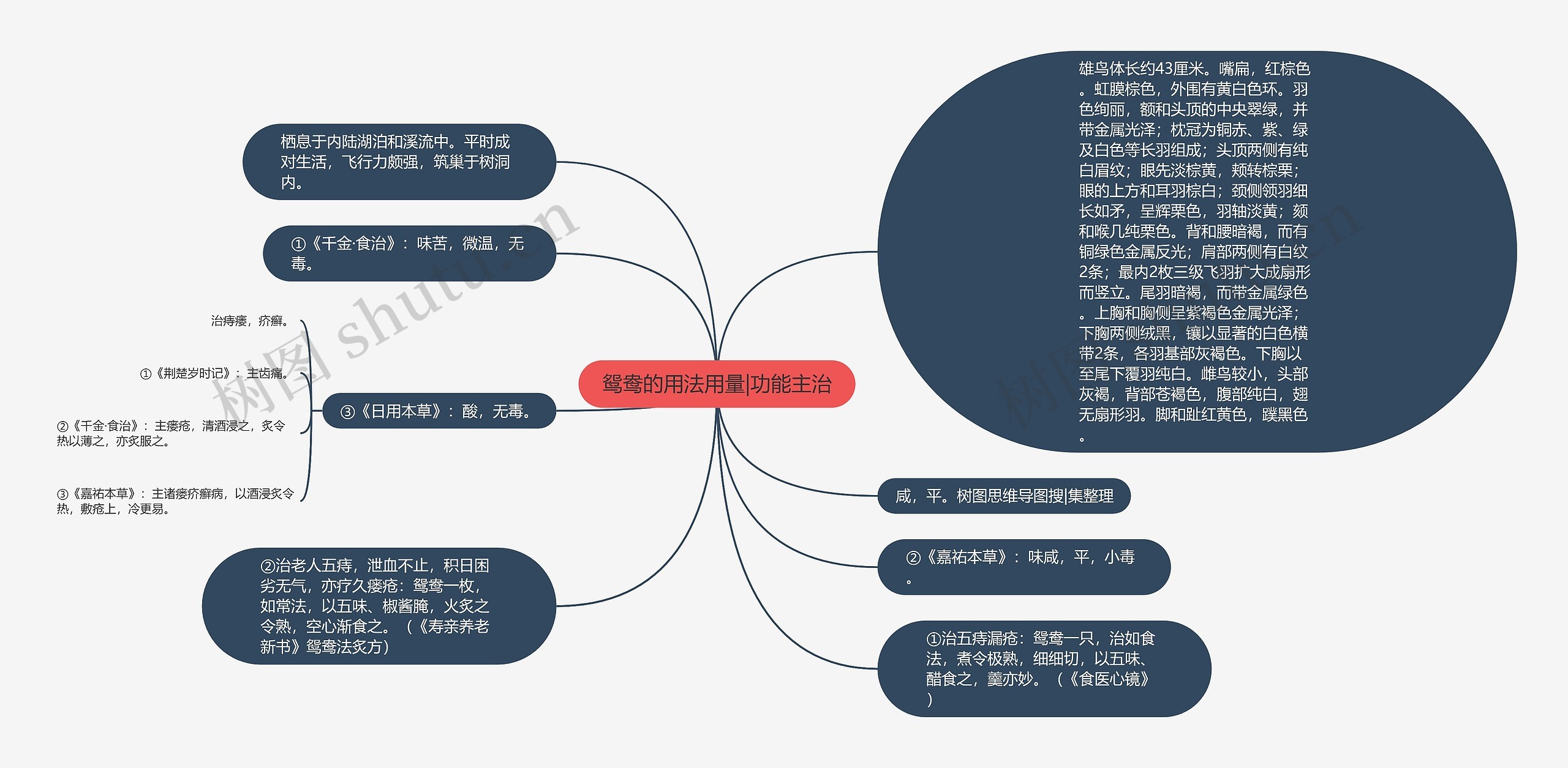 鸳鸯的用法用量|功能主治思维导图