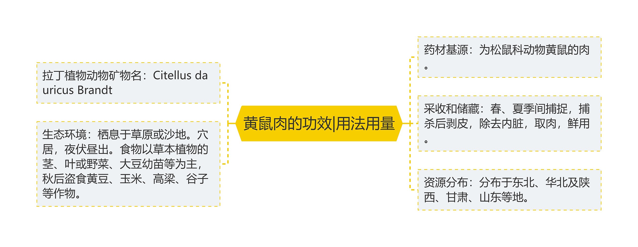 黄鼠肉的功效|用法用量思维导图