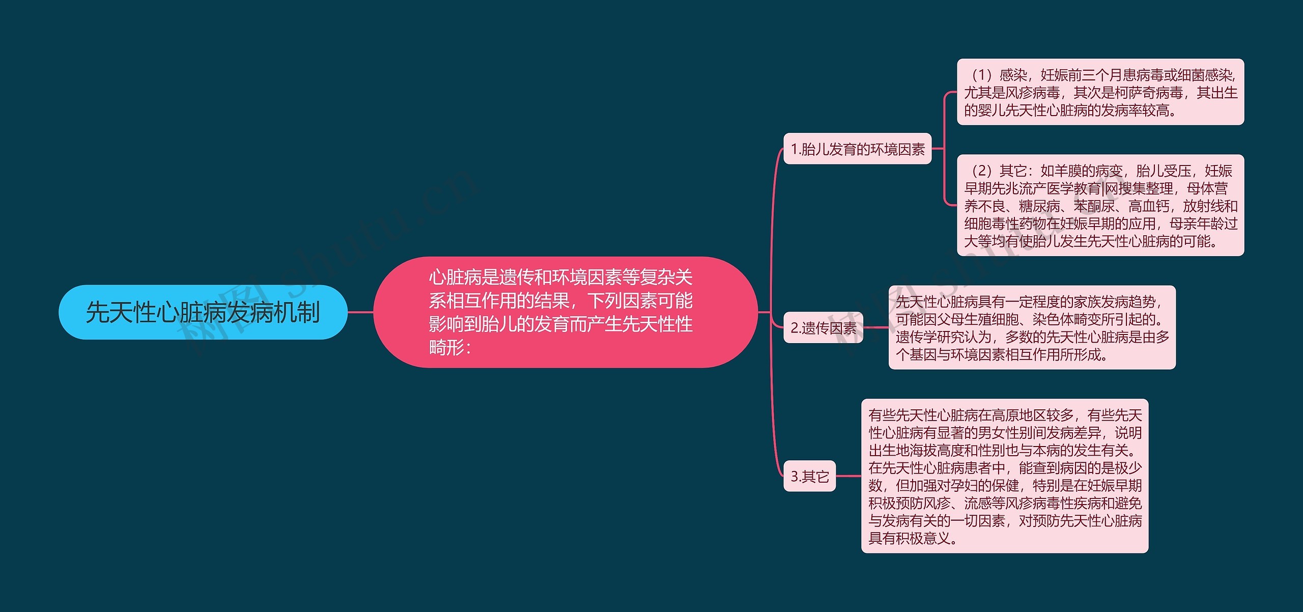 先天性心脏病发病机制思维导图