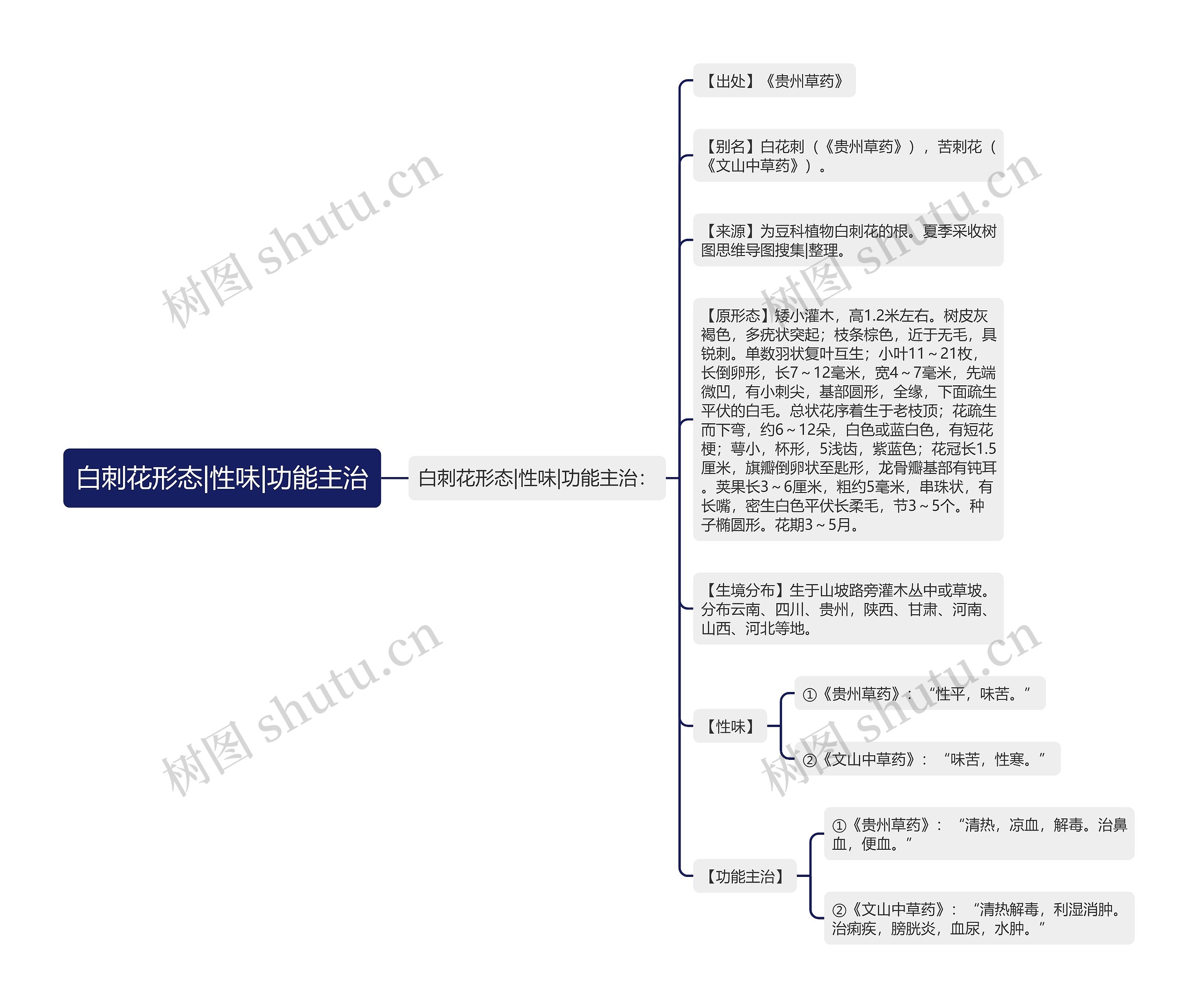 白刺花形态|性味|功能主治思维导图