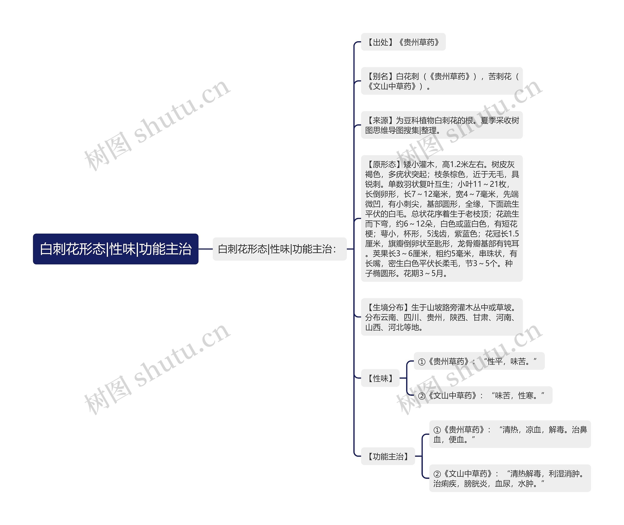 白刺花形态|性味|功能主治 白刺花形态|性味|功能主治