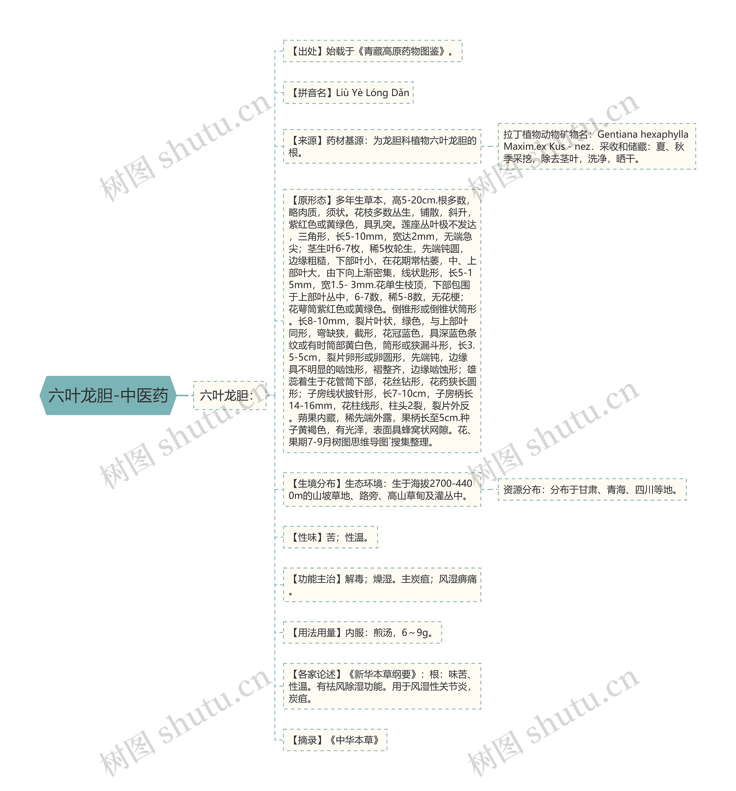 六叶龙胆-中医药思维导图