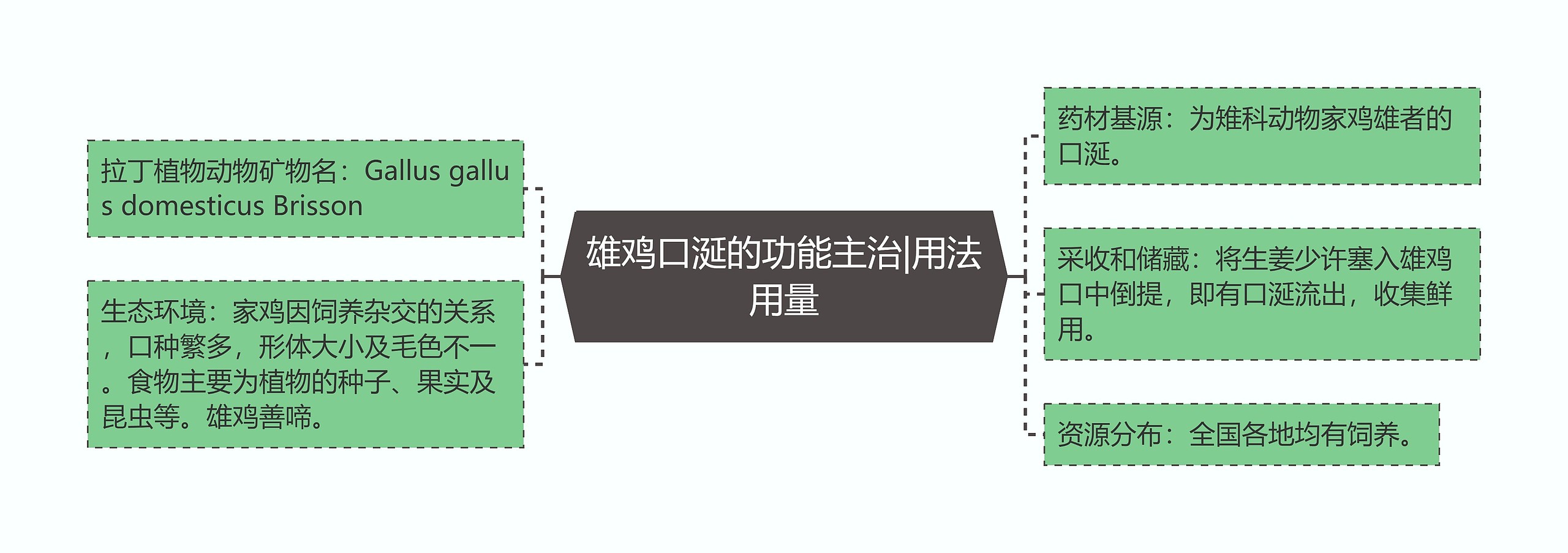雄鸡口涎的功能主治|用法用量 雄鸡口涎的功能主治|用法用量