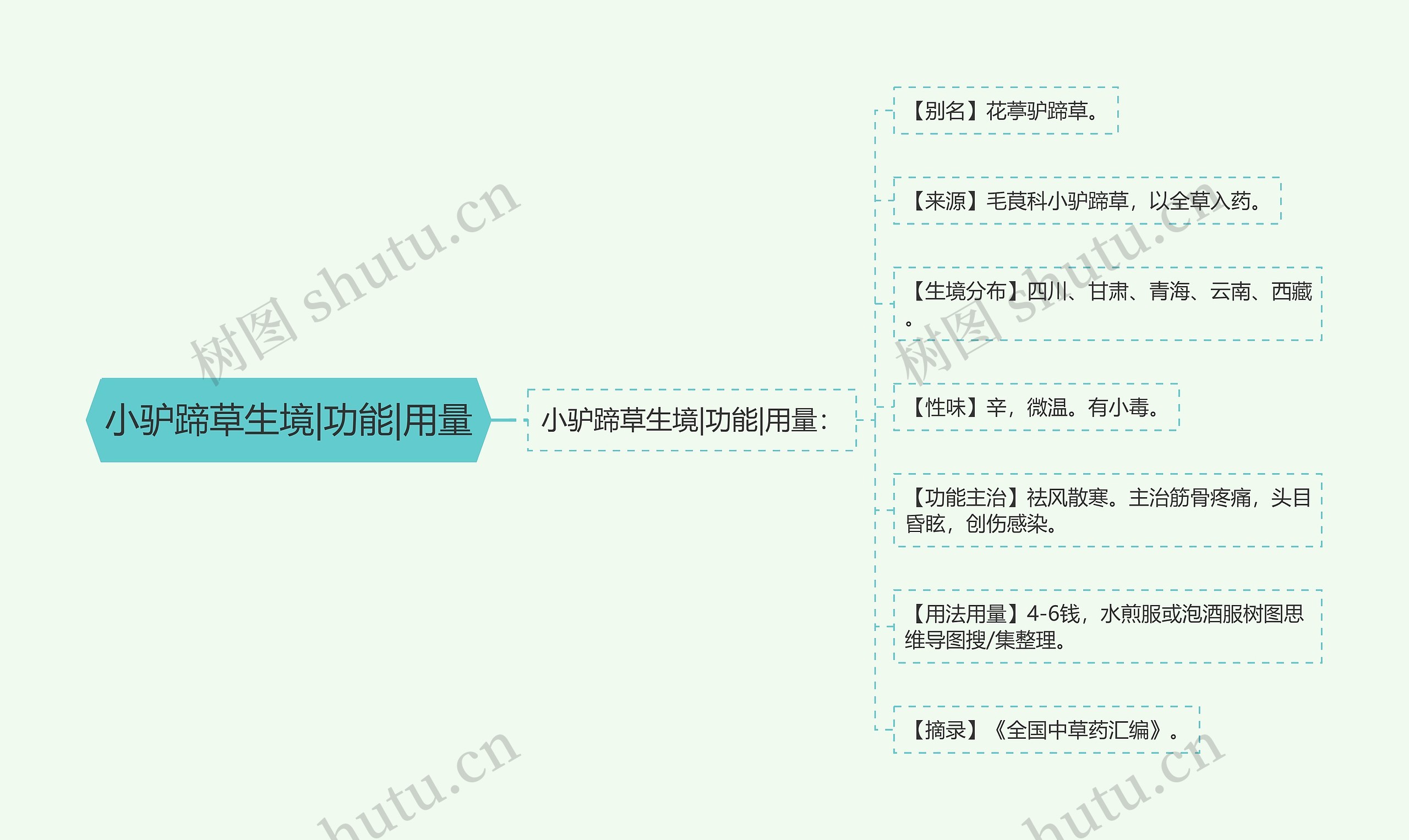 小驴蹄草生境|功能|用量思维导图