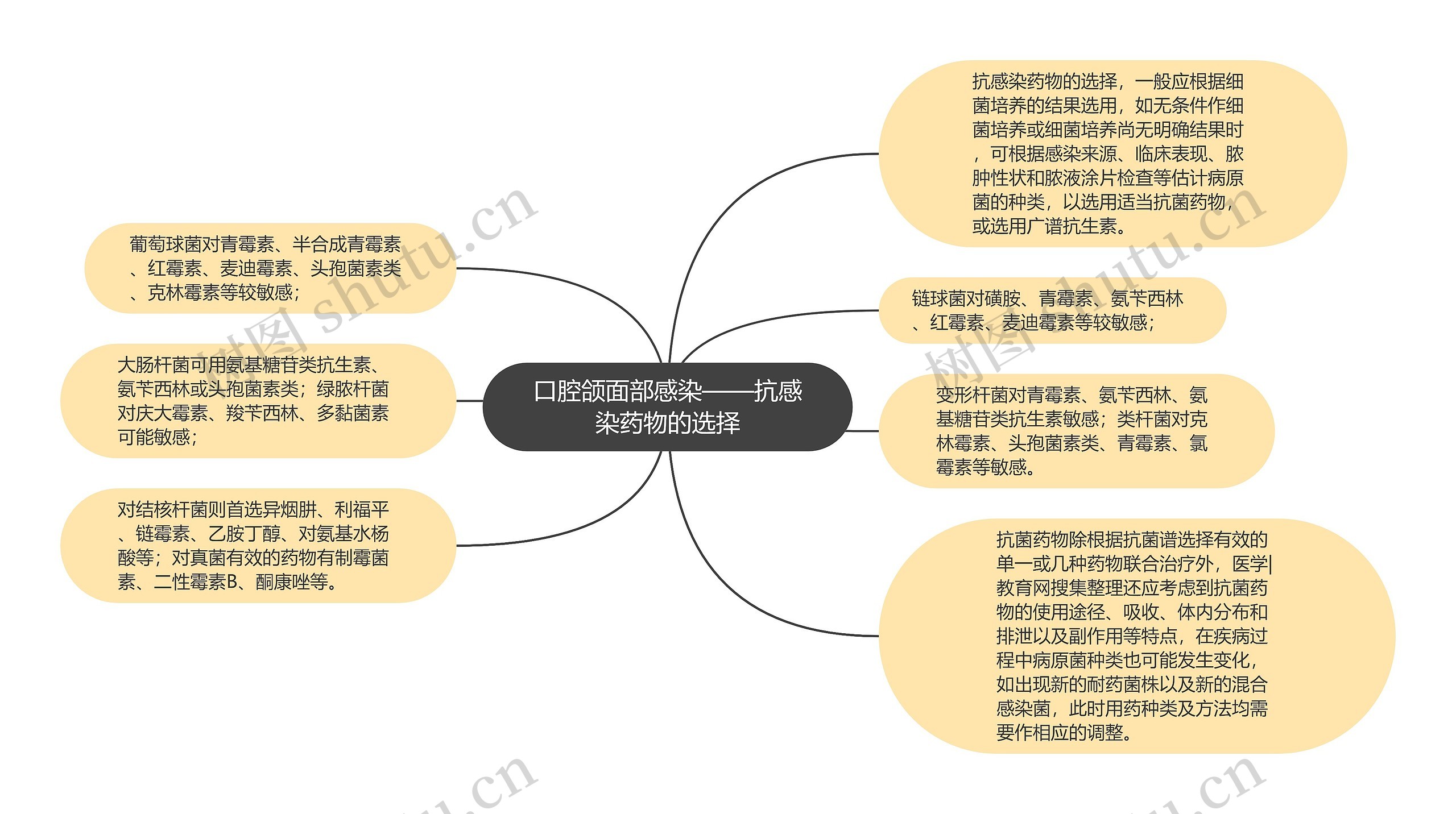 口腔颌面部感染——抗感染药物的选择思维导图