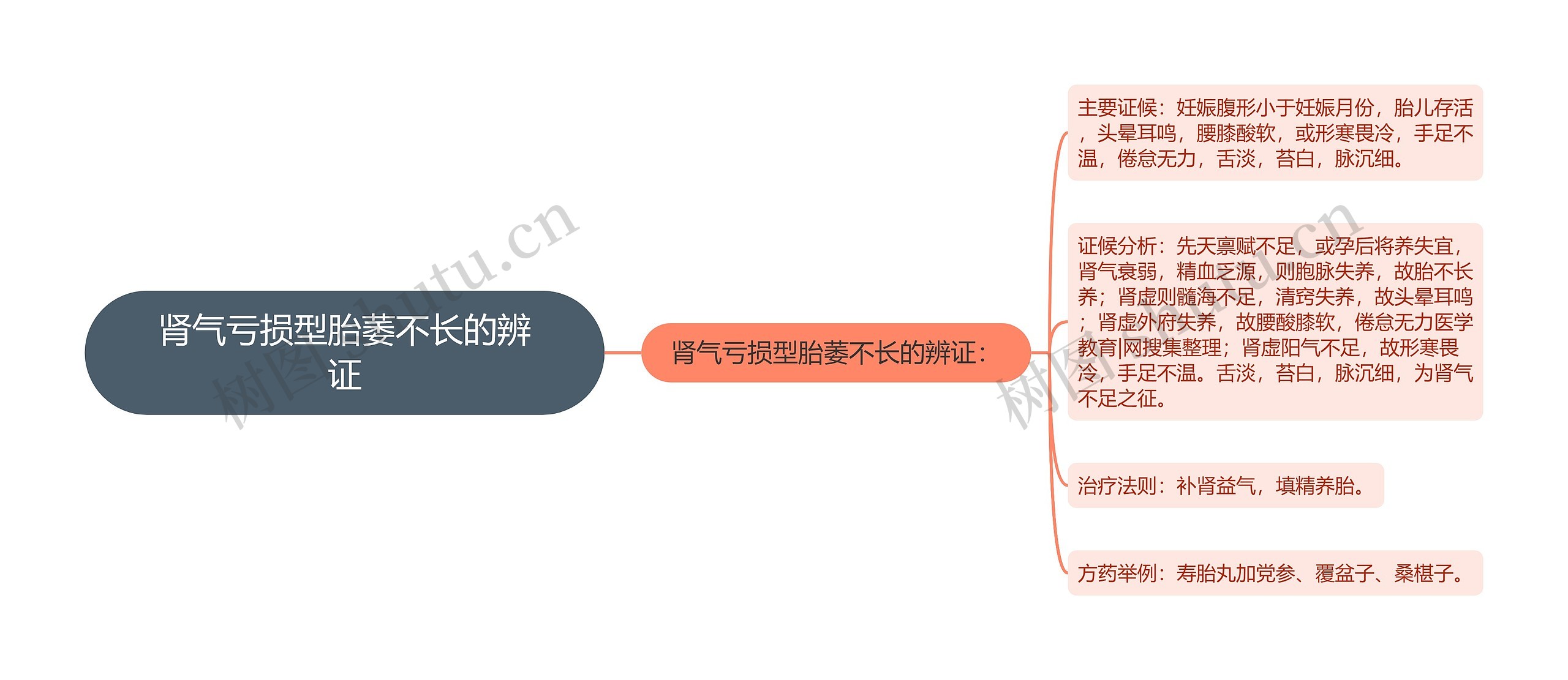 肾气亏损型胎萎不长的辨证思维导图