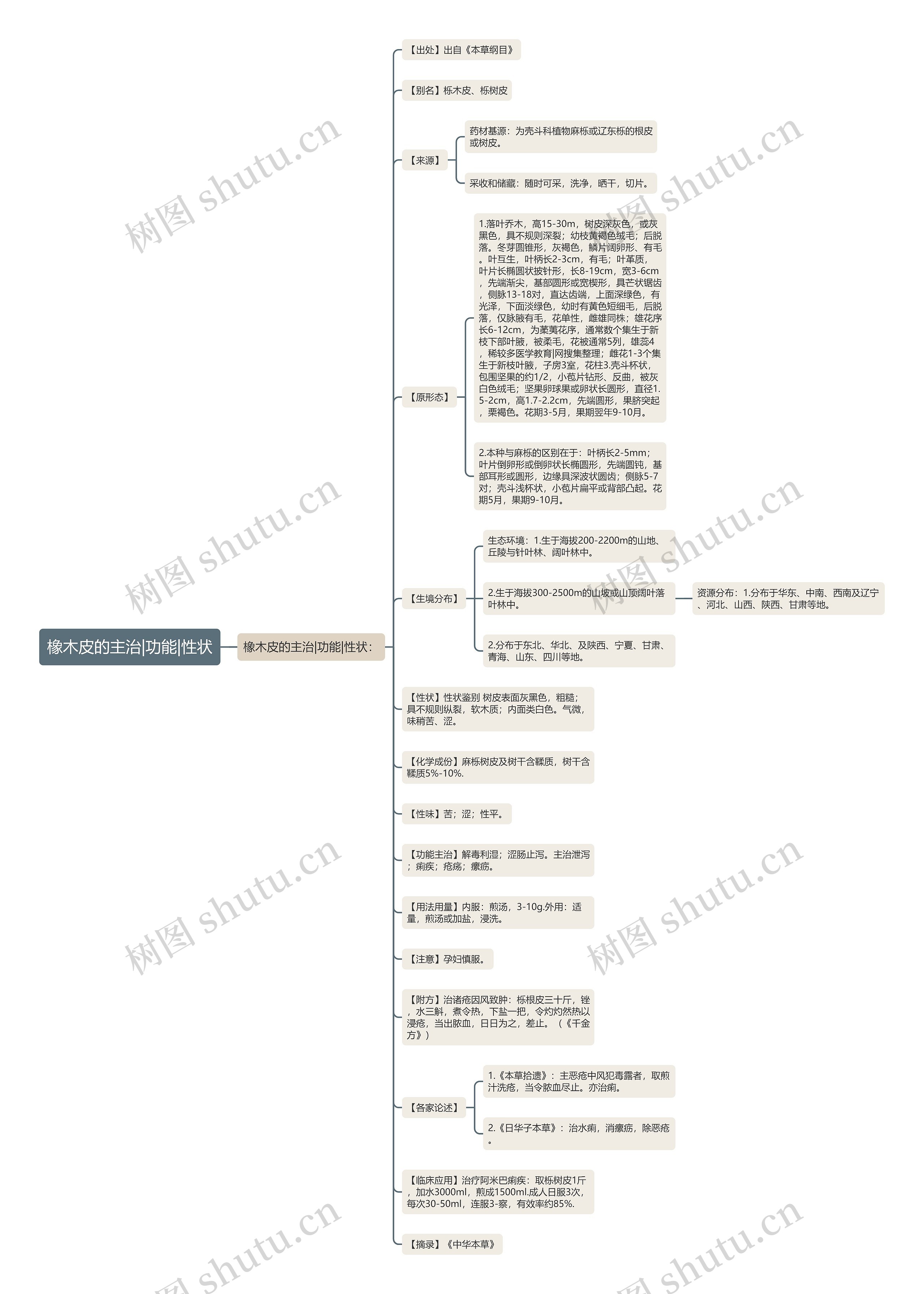 橡木皮的主治|功能|性状思维导图