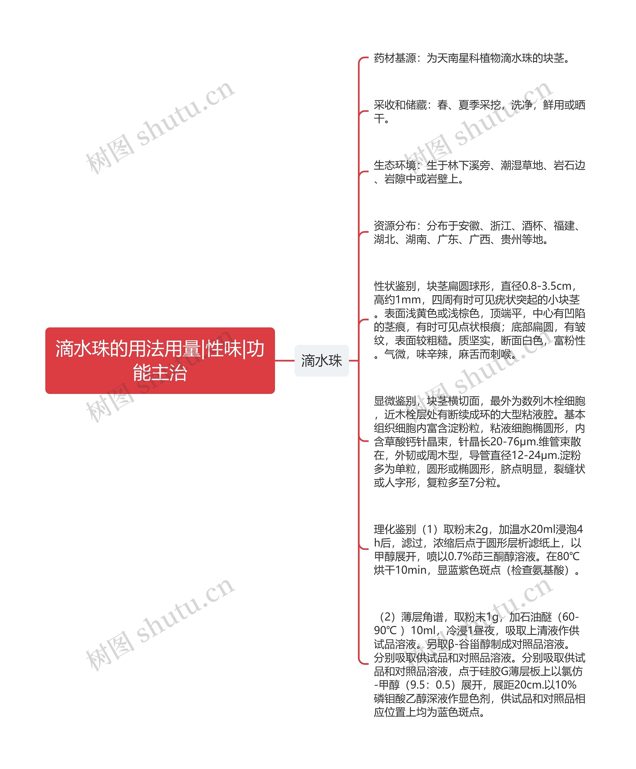 滴水珠的用法用量|性味|功能主治 滴水珠的用法用量|性味|功能主治