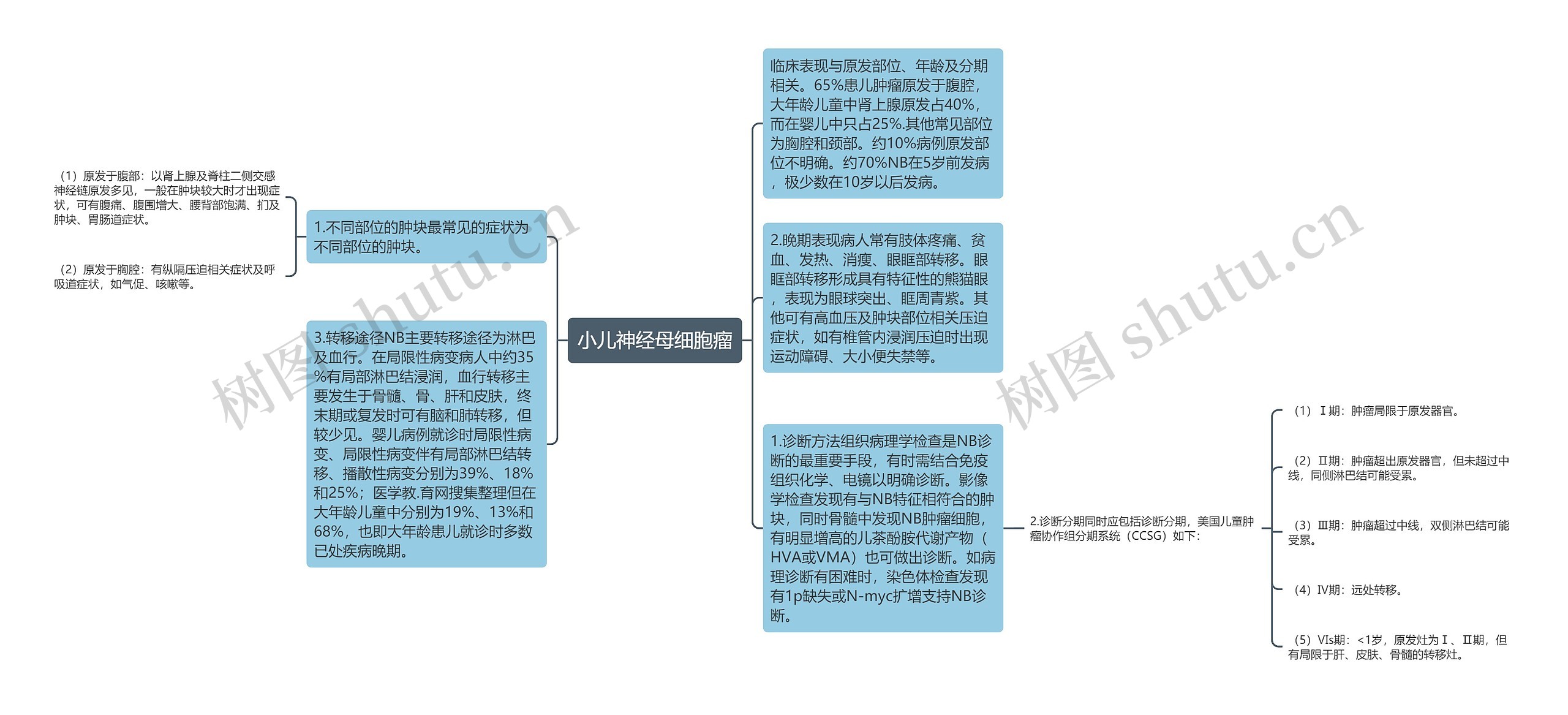 小儿神经母细胞瘤