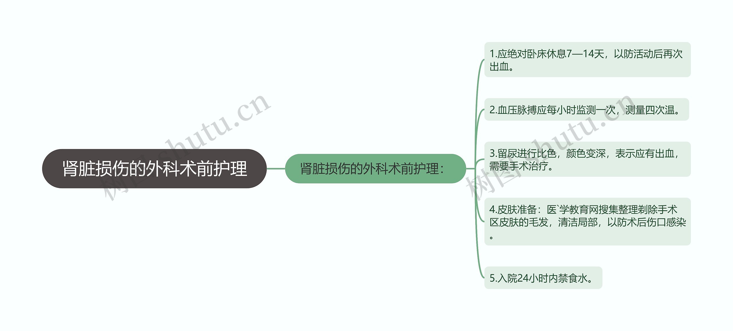 肾脏损伤的外科术前护理思维导图