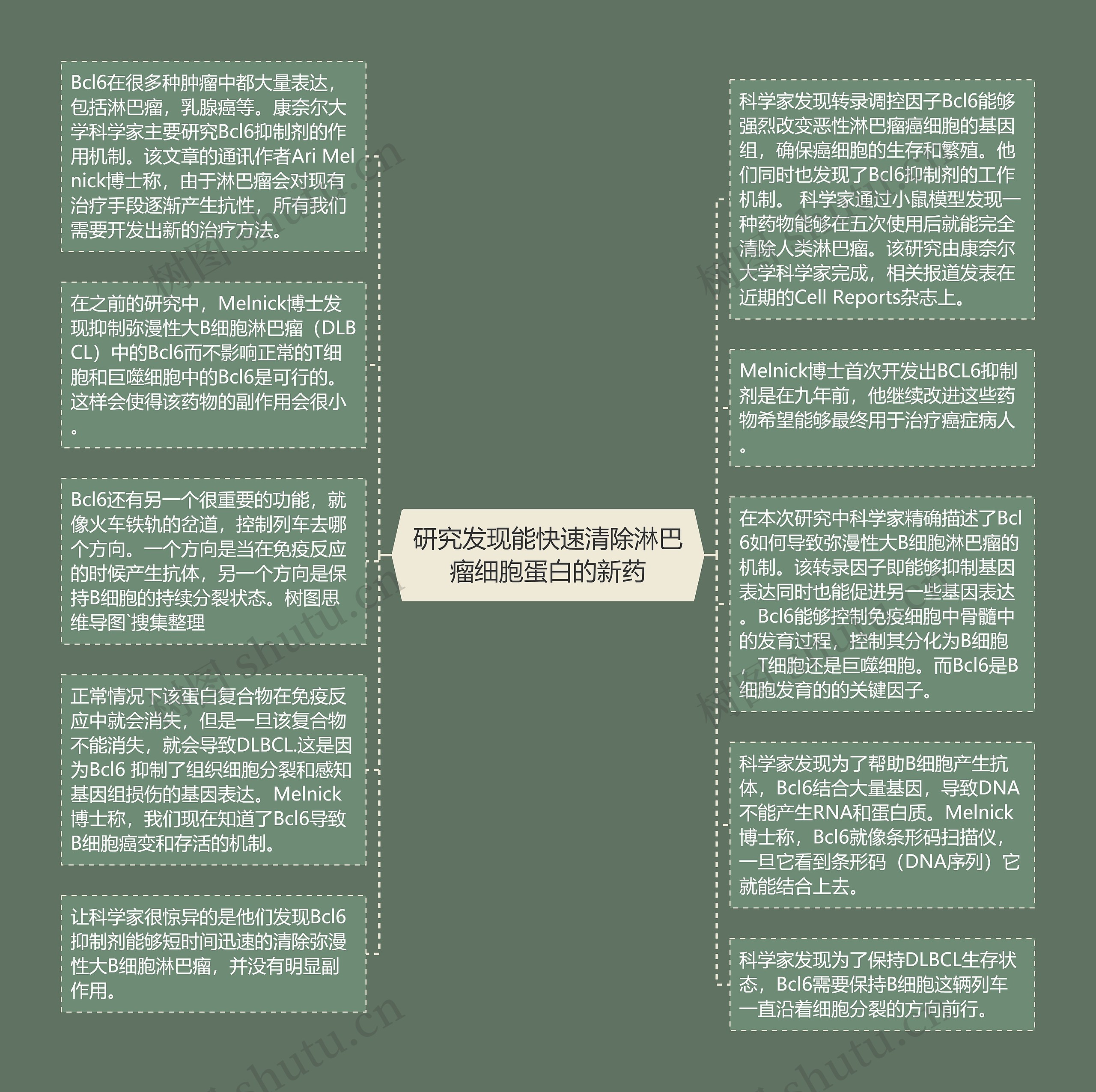 研究发现能快速清除淋巴瘤细胞蛋白的新药思维导图