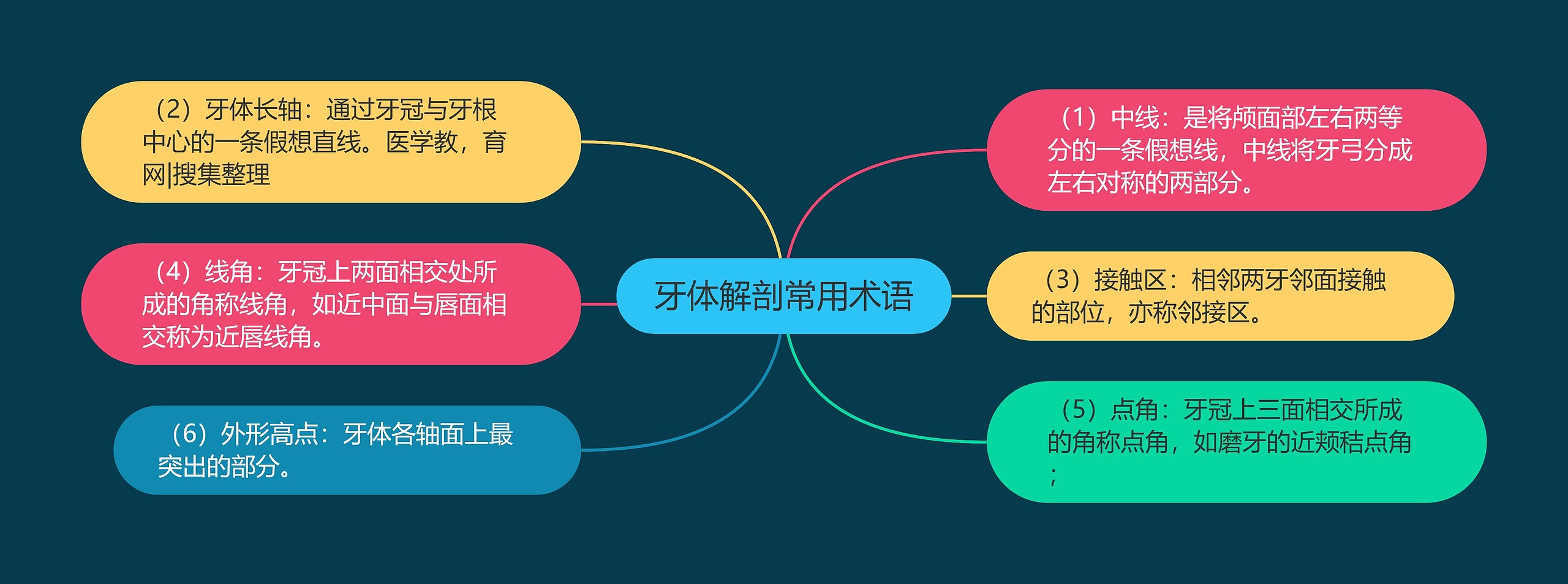 牙体解剖常用术语思维导图