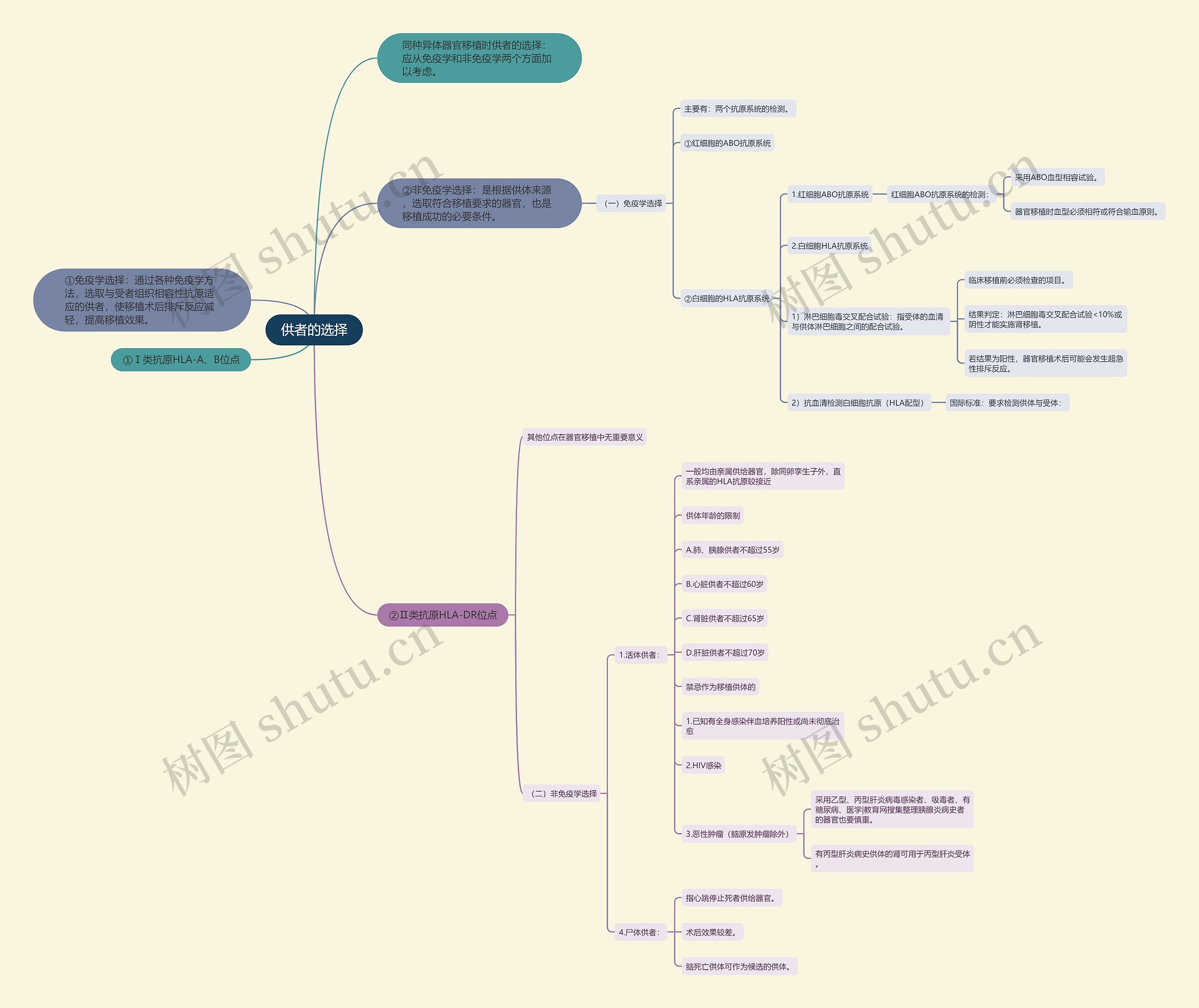 供者的选择思维导图