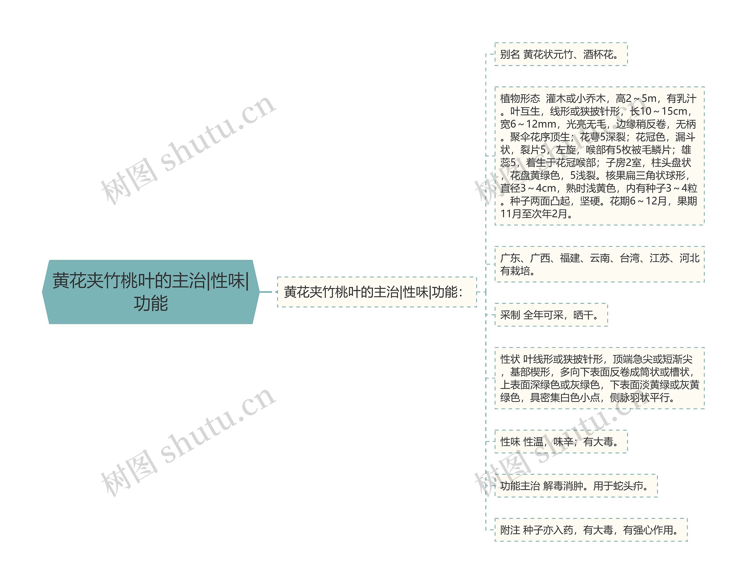 黄花夹竹桃叶的主治|性味|功能思维导图