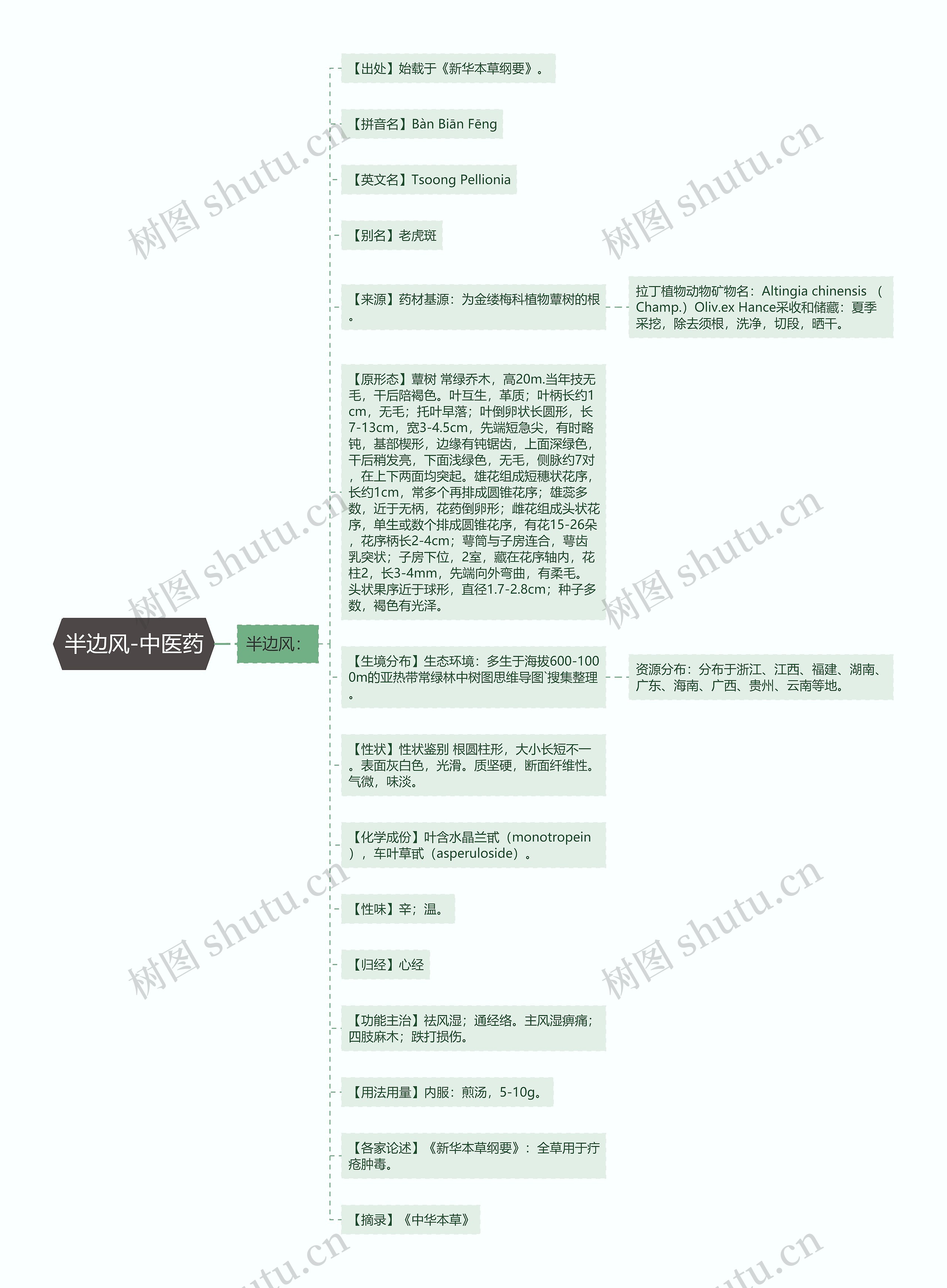 半边风-中医药思维导图