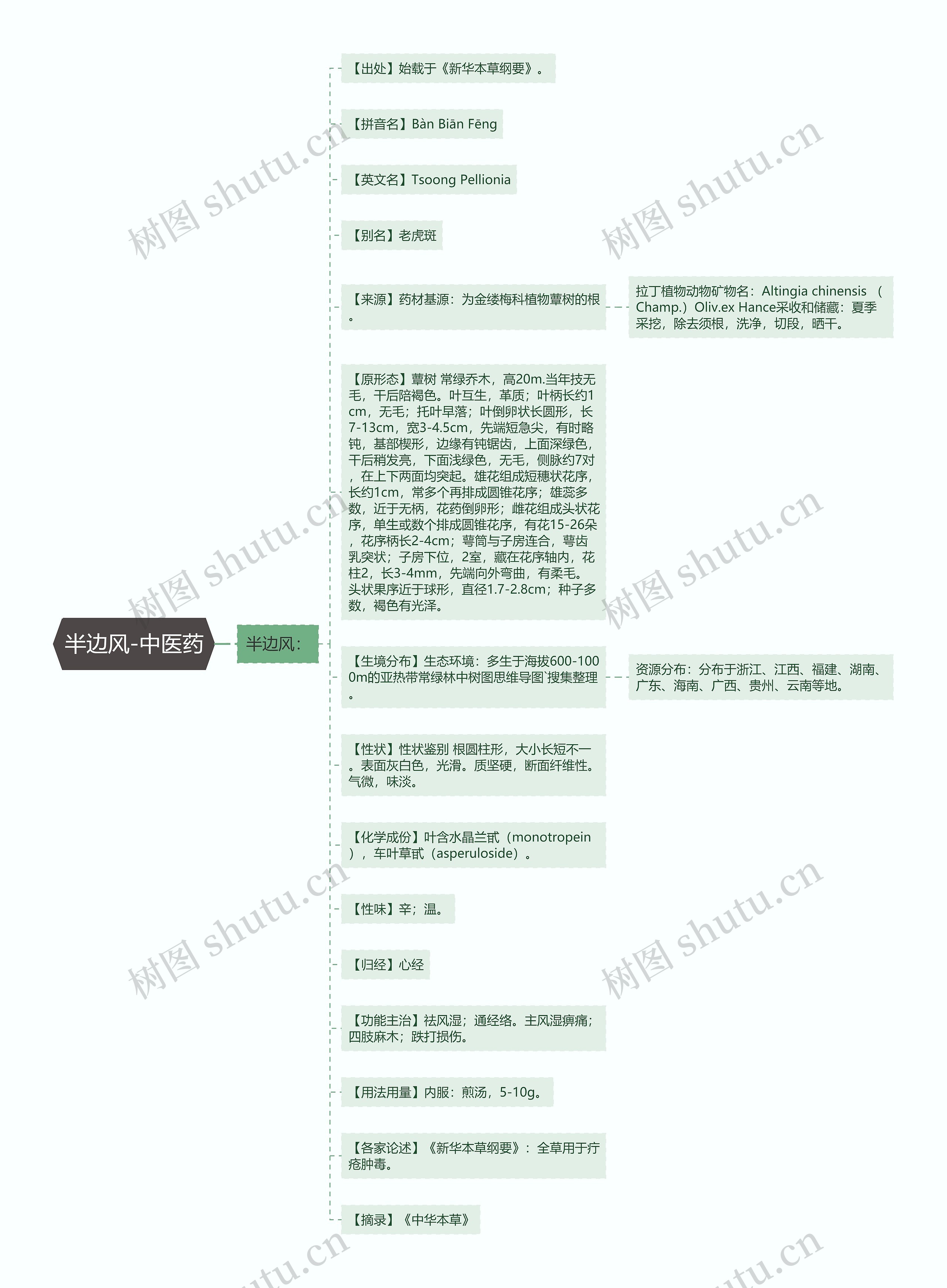半边风-中医药 半边风-中医药