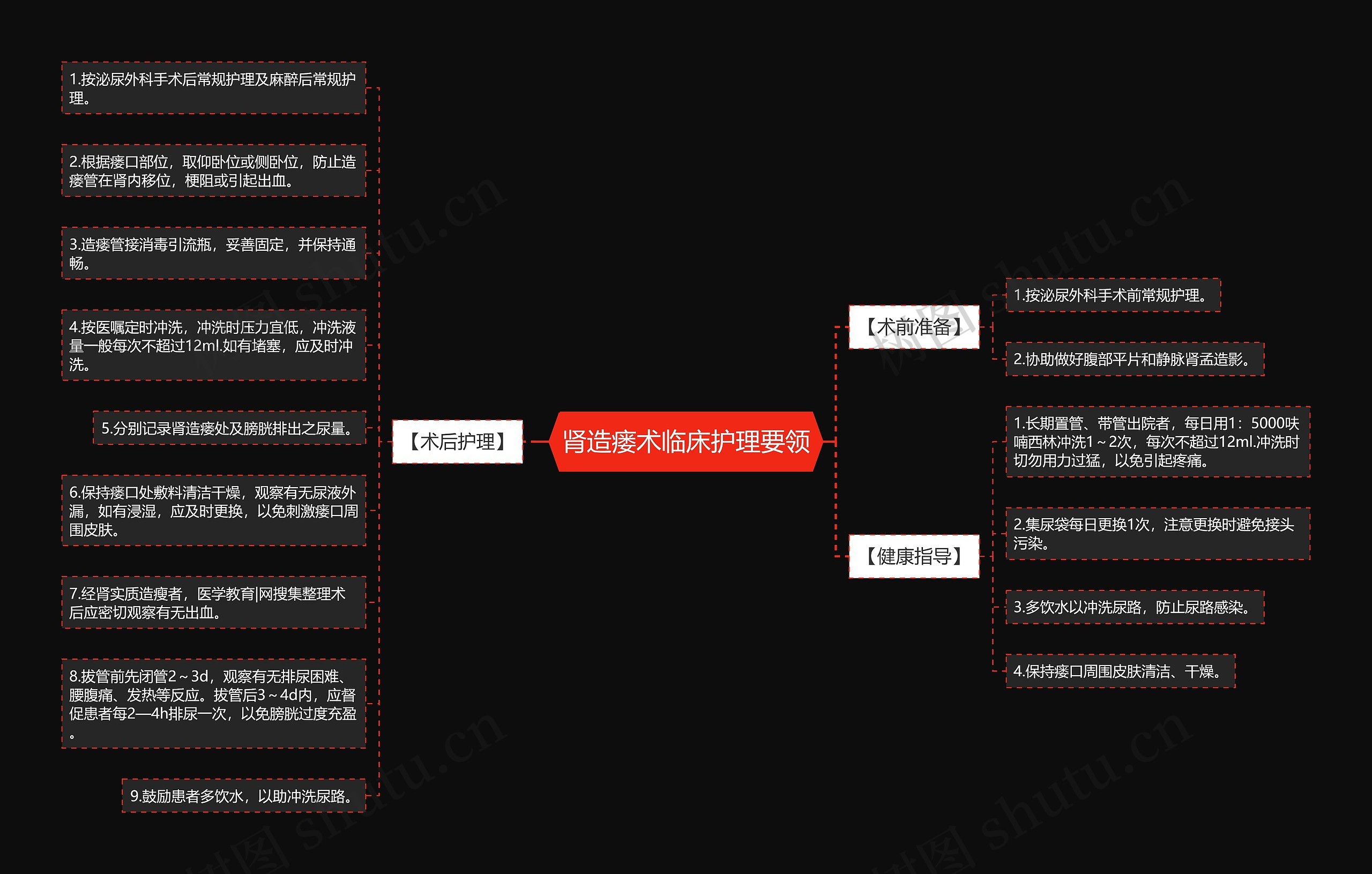 肾造瘘术临床护理要领思维导图