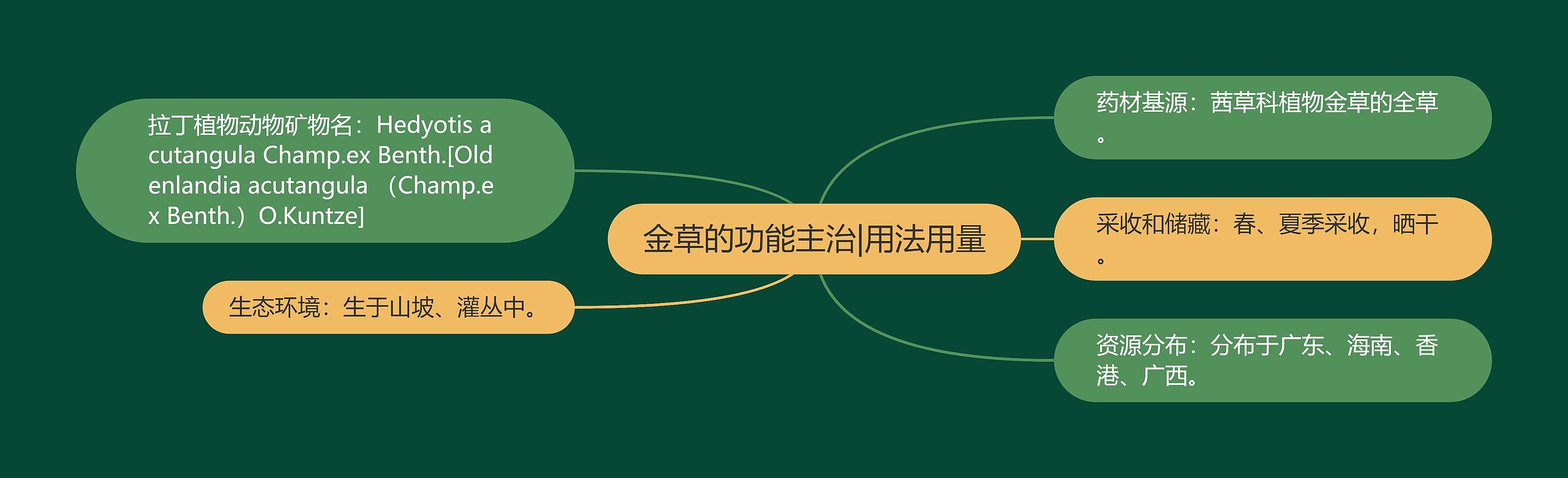 金草的功能主治|用法用量 金草的功能主治|用法用量