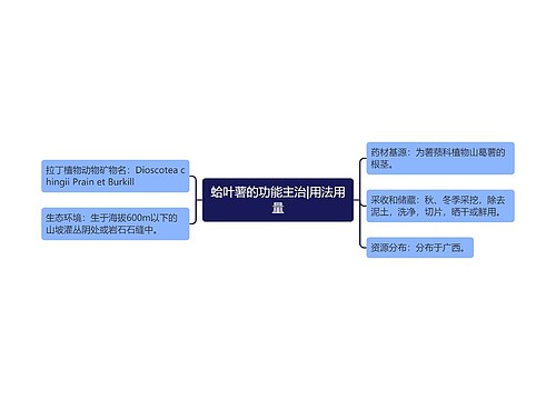 蛤叶薯的功能主治|用法用量