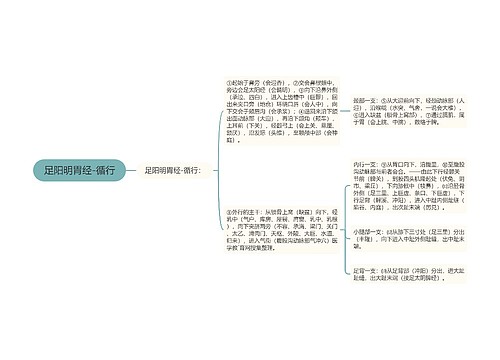 足阳明胃经-循行