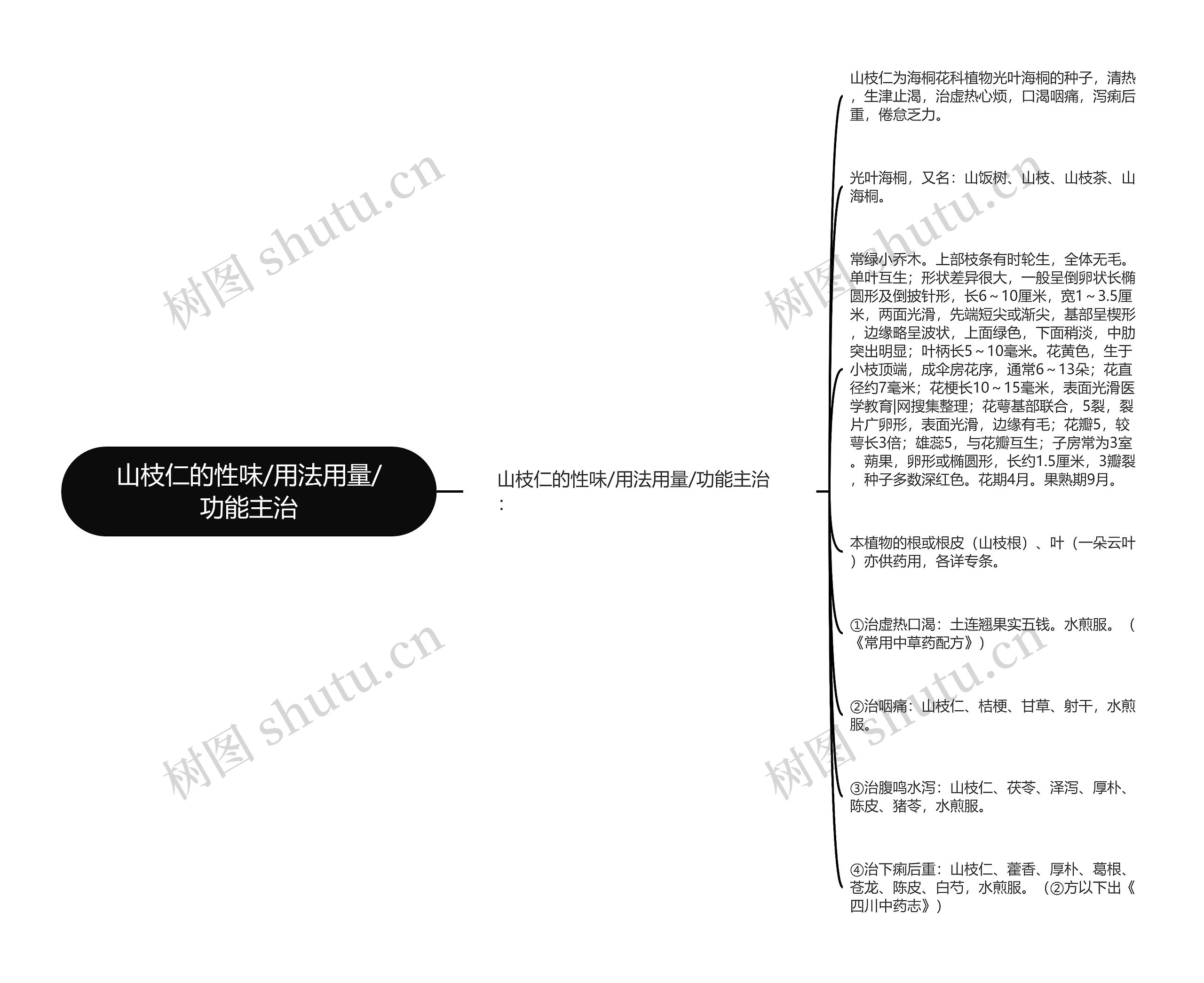 山枝仁的性味/用法用量/功能主治思维导图