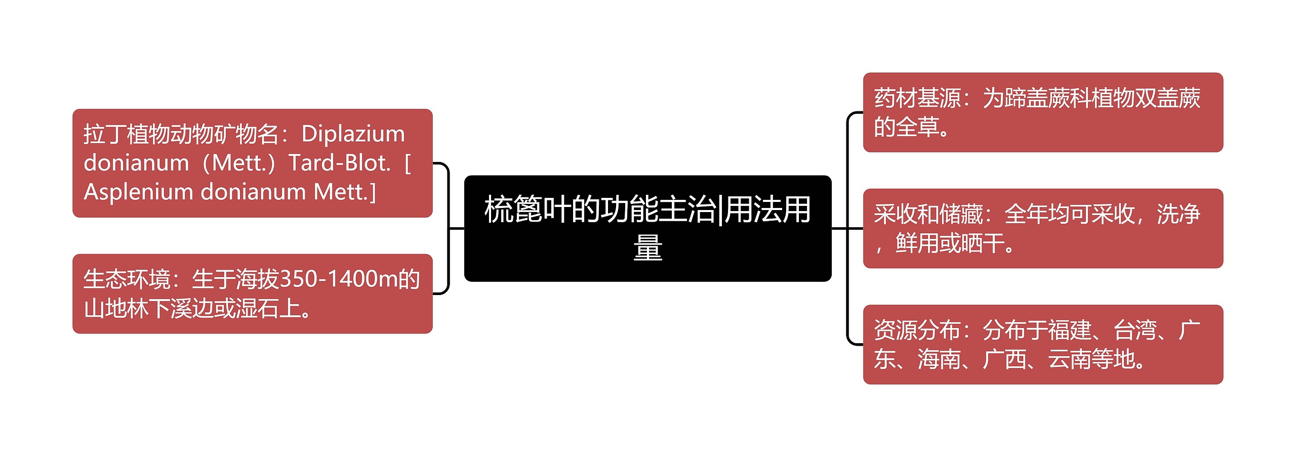 梳篦叶的功能主治|用法用量思维导图