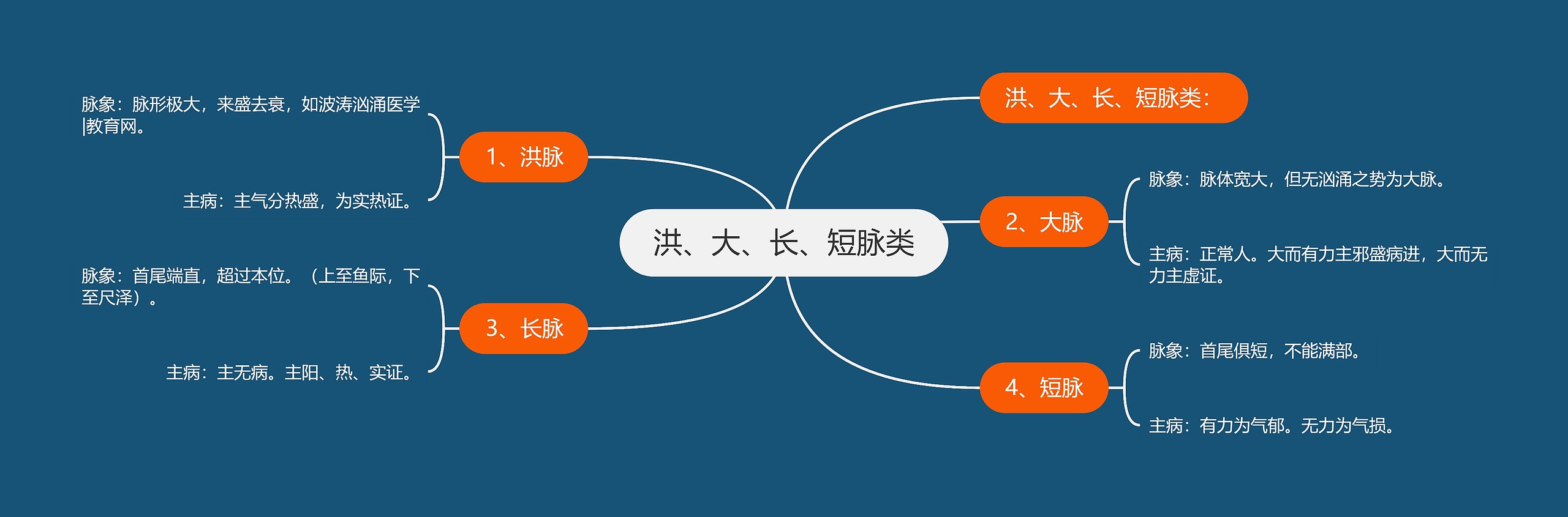 洪、大、长、短脉类思维导图