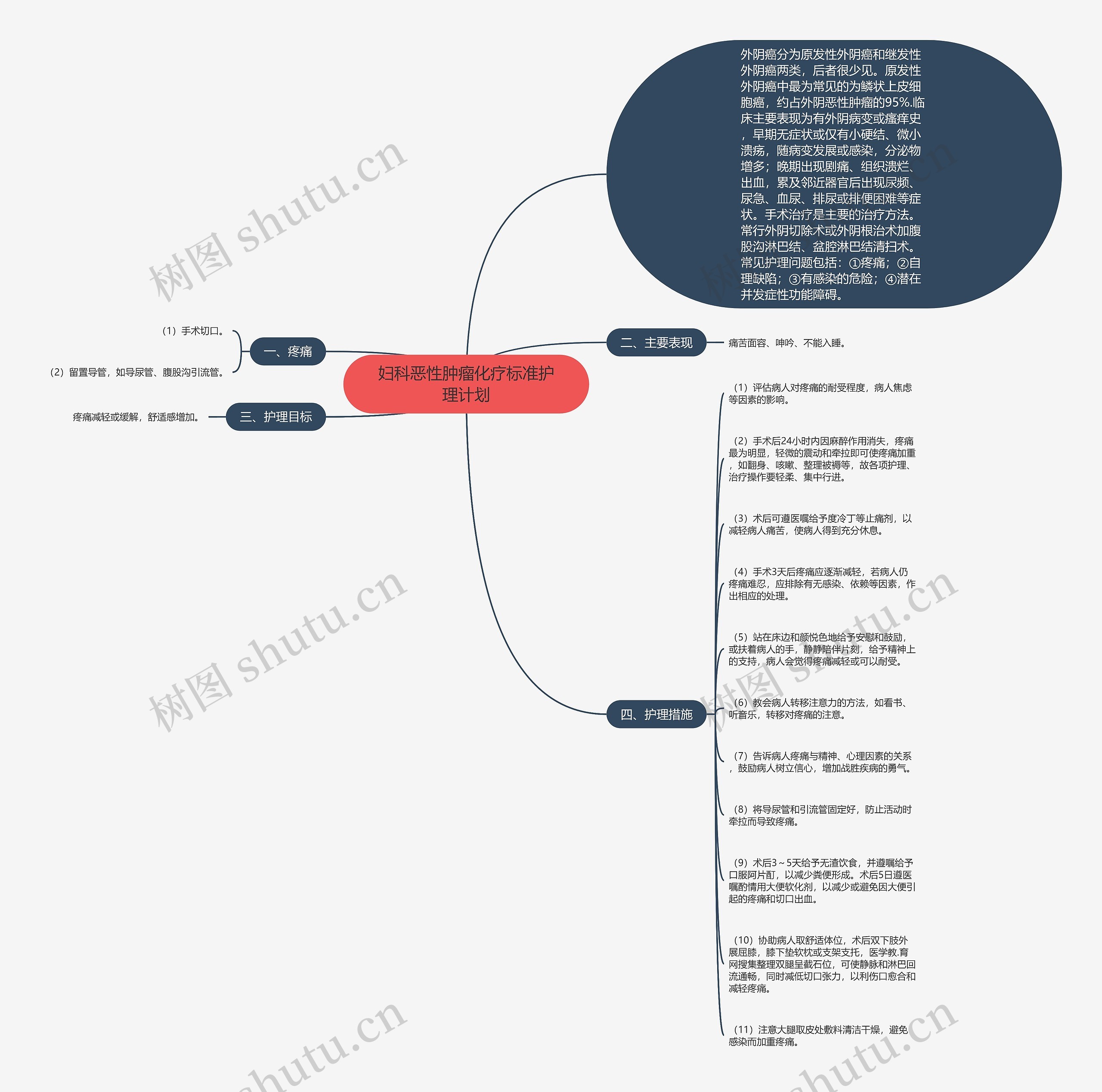 妇科恶性肿瘤化疗标准护理计划思维导图