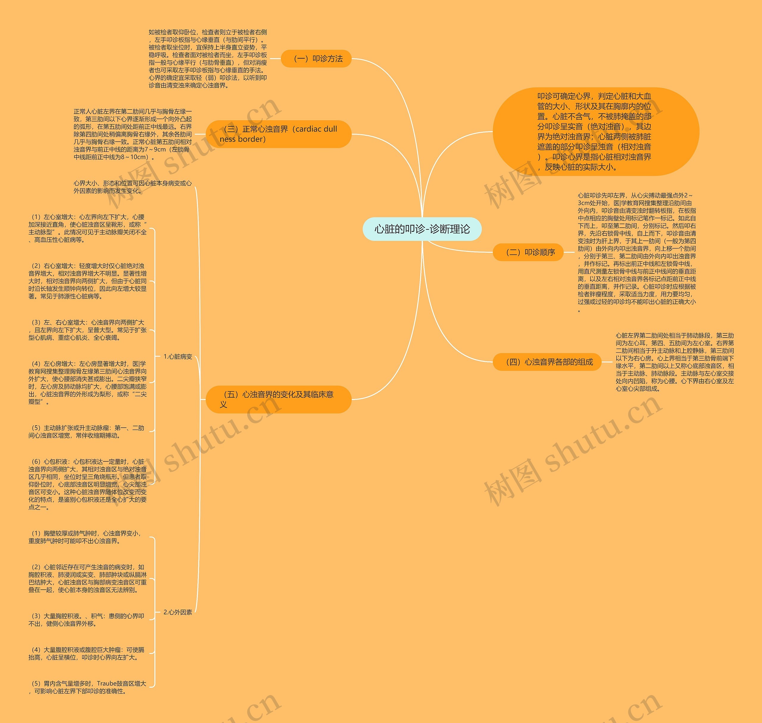 心脏的叩诊-诊断理论思维导图
