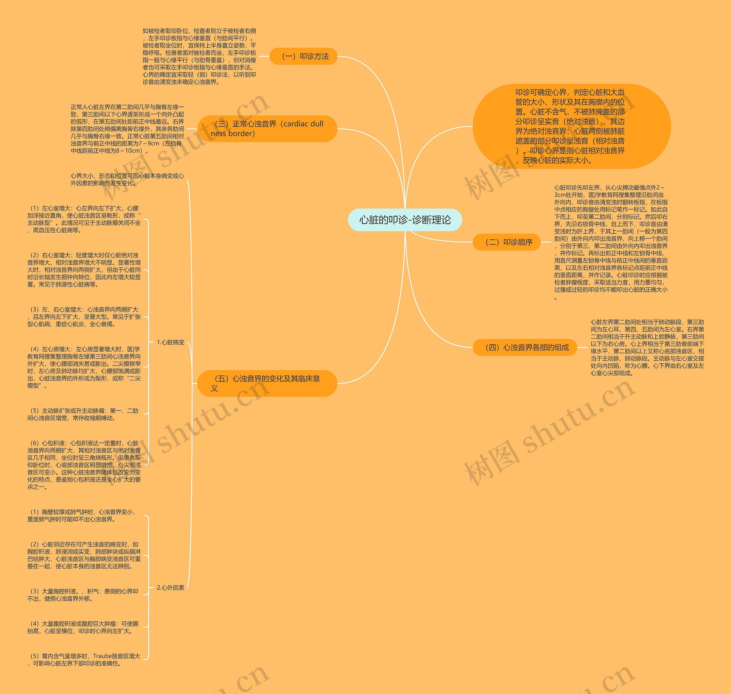 心脏的叩诊-诊断理论 心脏的叩诊-诊断理论