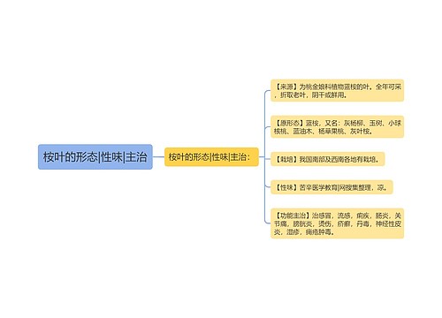 桉叶的形态|性味|主治