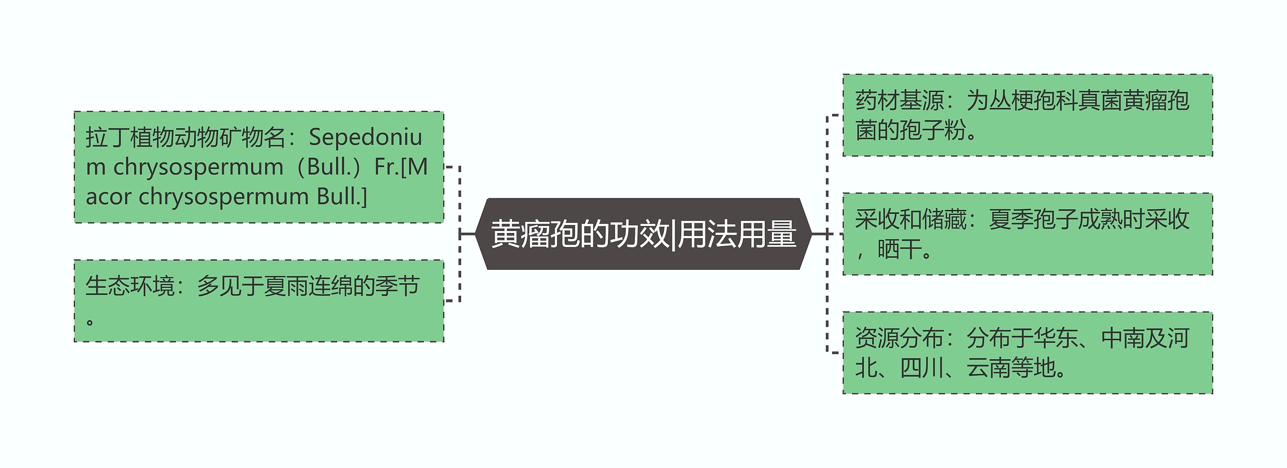 黄瘤孢的功效|用法用量思维导图