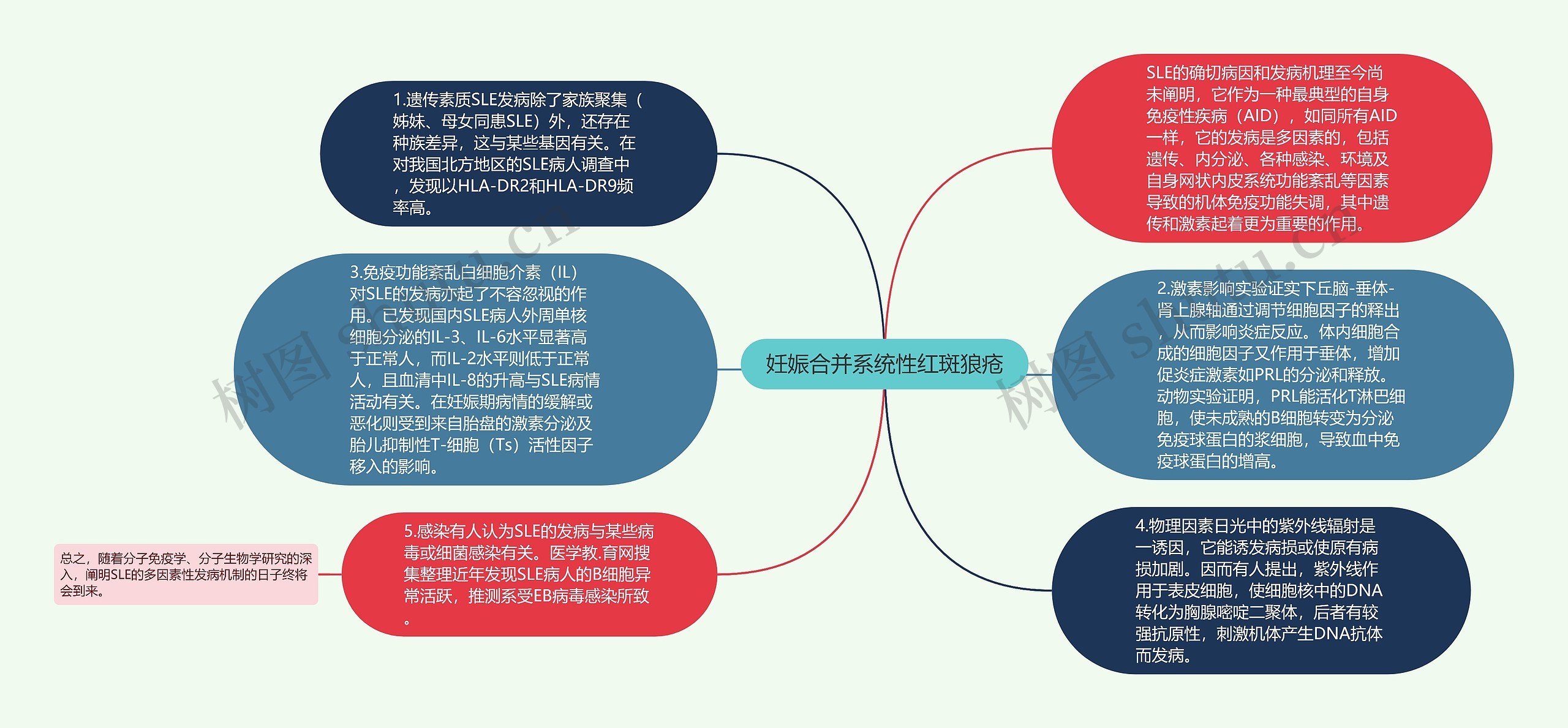 妊娠合并系统性红斑狼疮思维导图