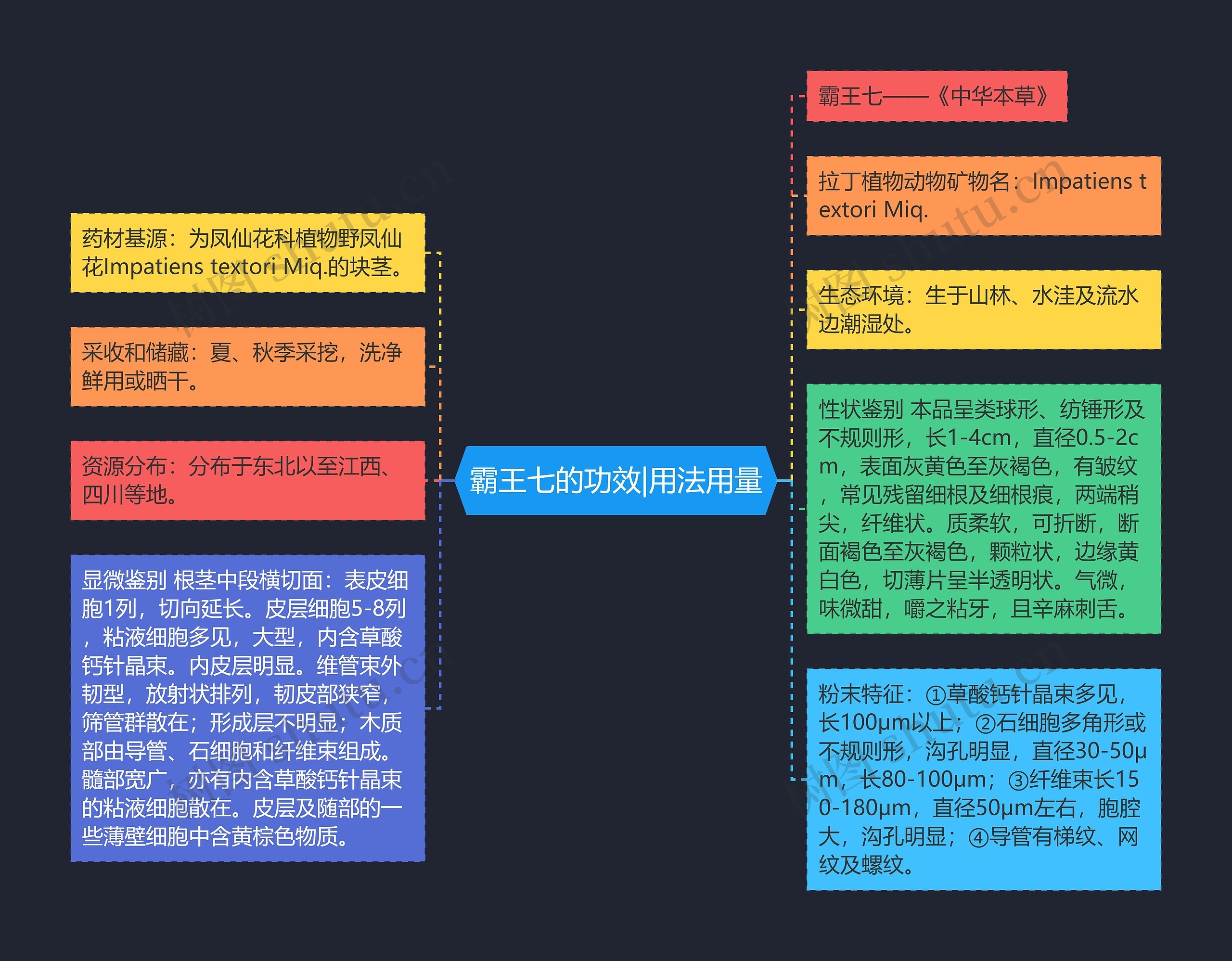 霸王七的功效|用法用量