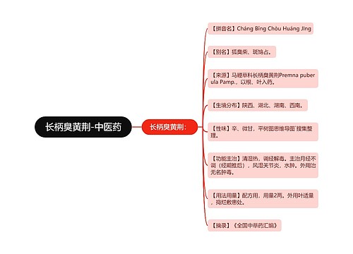 长柄臭黄荆-中医药