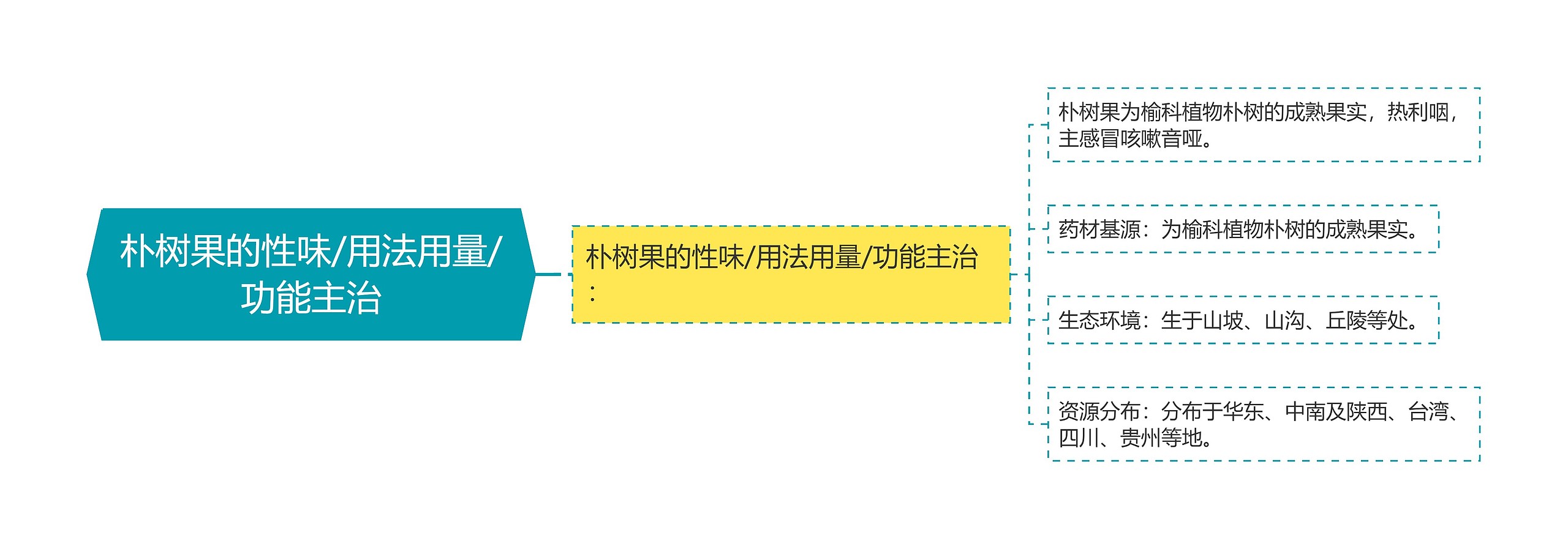朴树果的性味/用法用量/功能主治 朴树果的性味/用法用量/功能主治