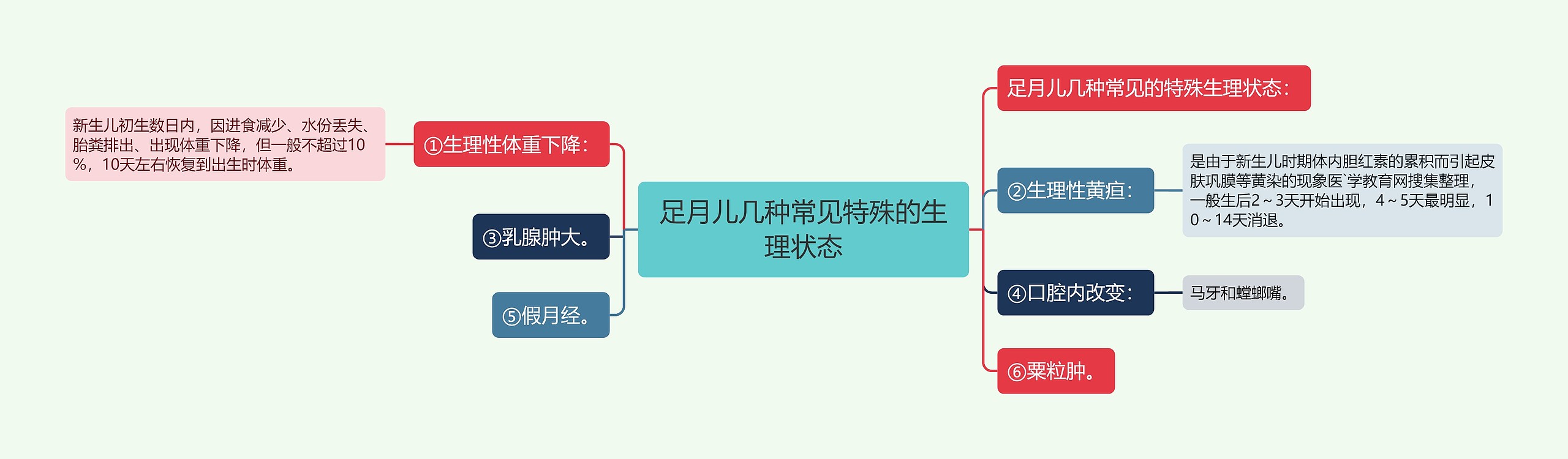 足月儿几种常见特殊的生理状态思维导图