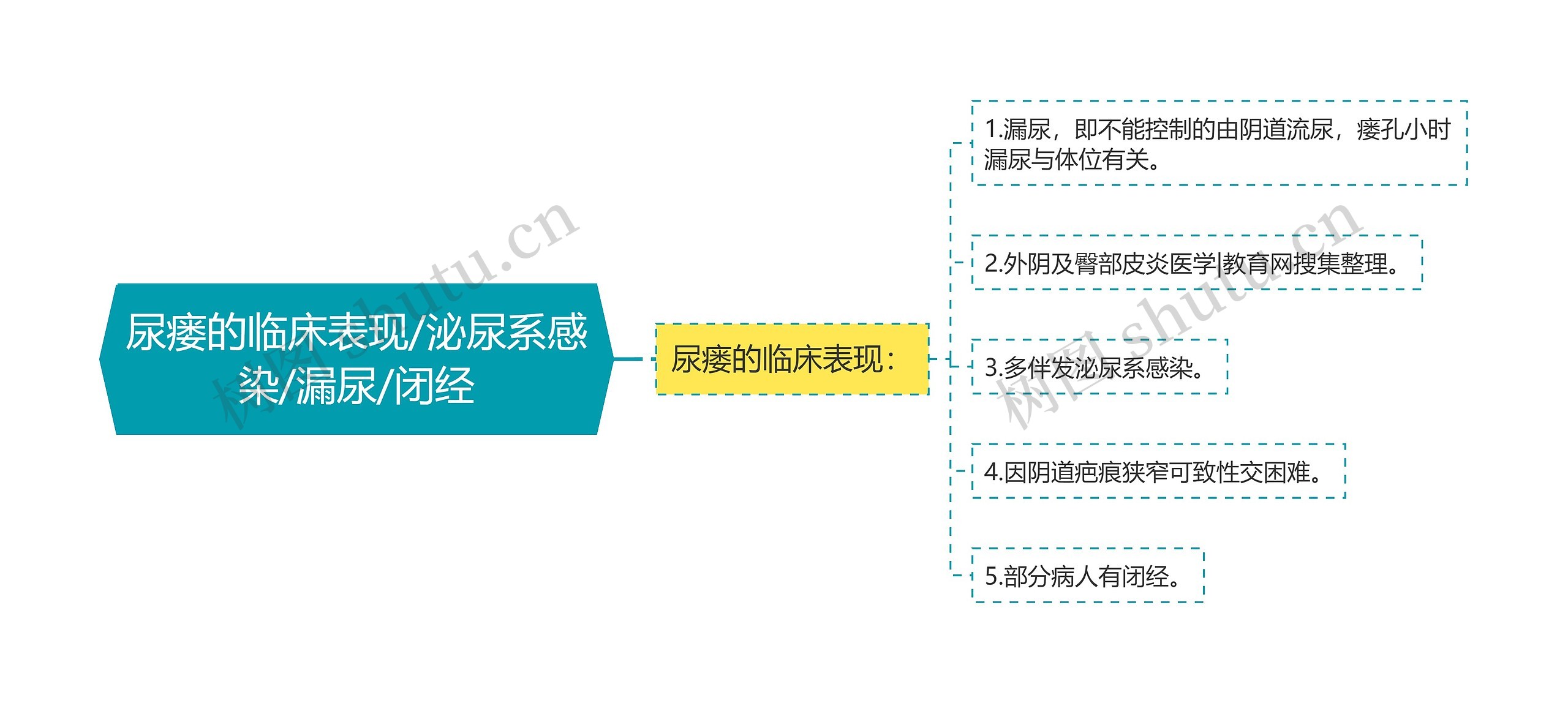 尿瘘的临床表现/泌尿系感染/漏尿/闭经思维导图