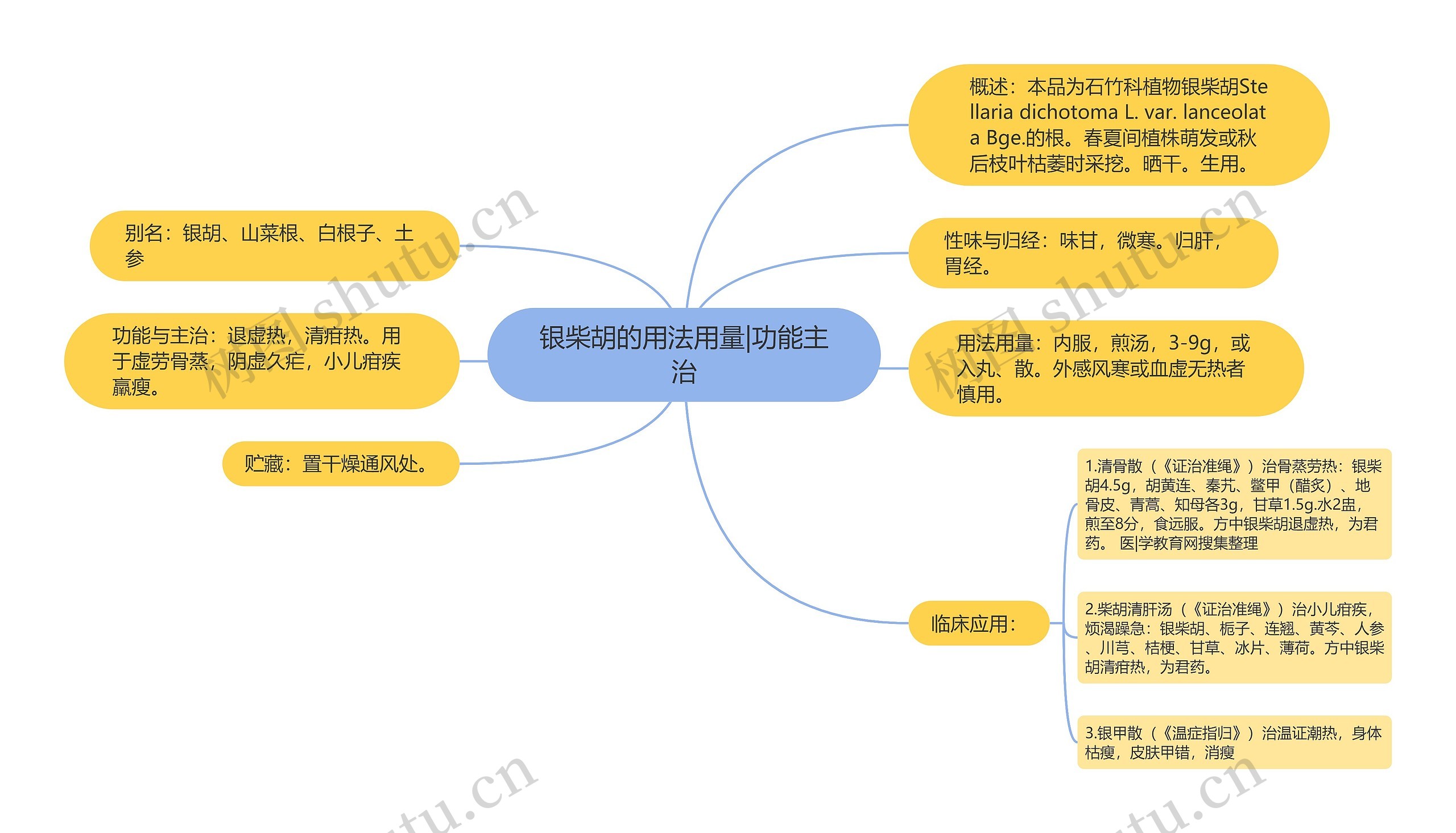 银柴胡的用法用量|功能主治思维导图