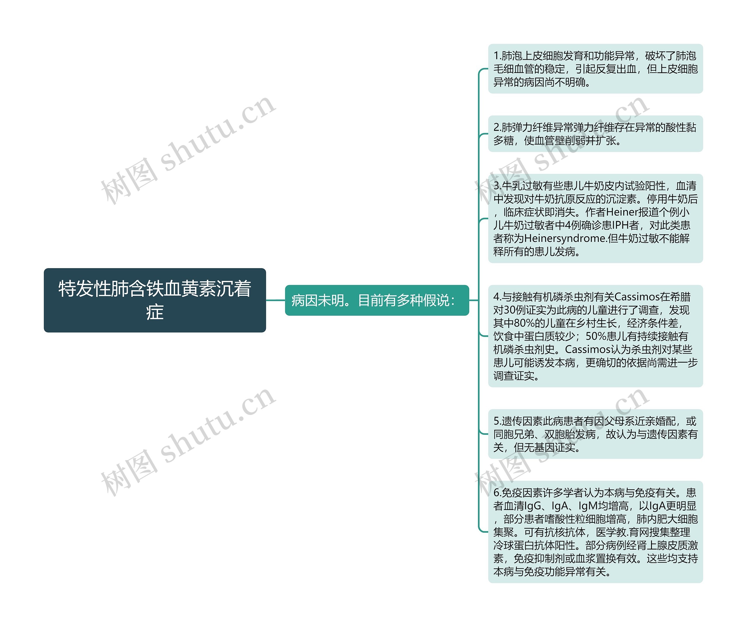 特发性肺含铁血黄素沉着症思维导图