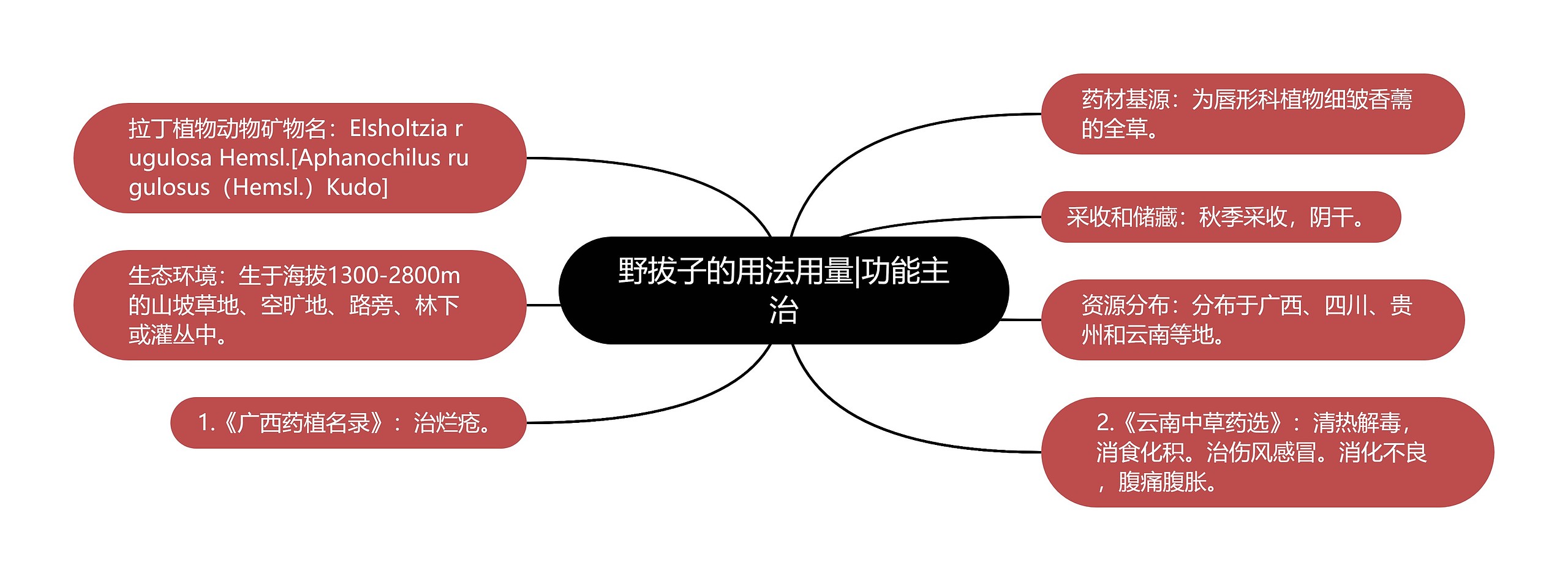 野拔子的用法用量|功能主治思维导图