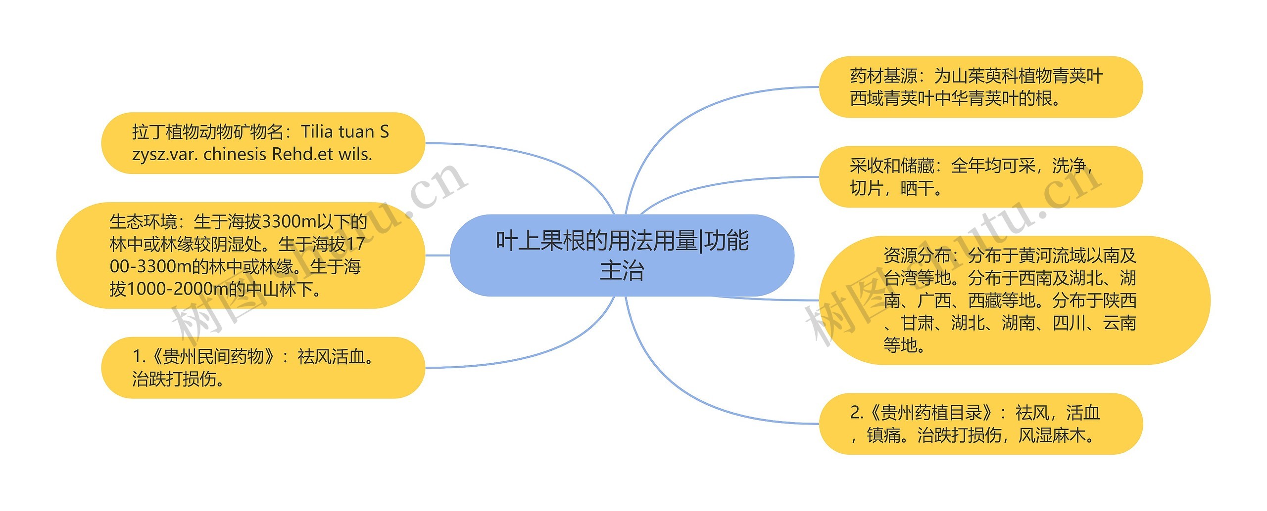 叶上果根的用法用量|功能主治