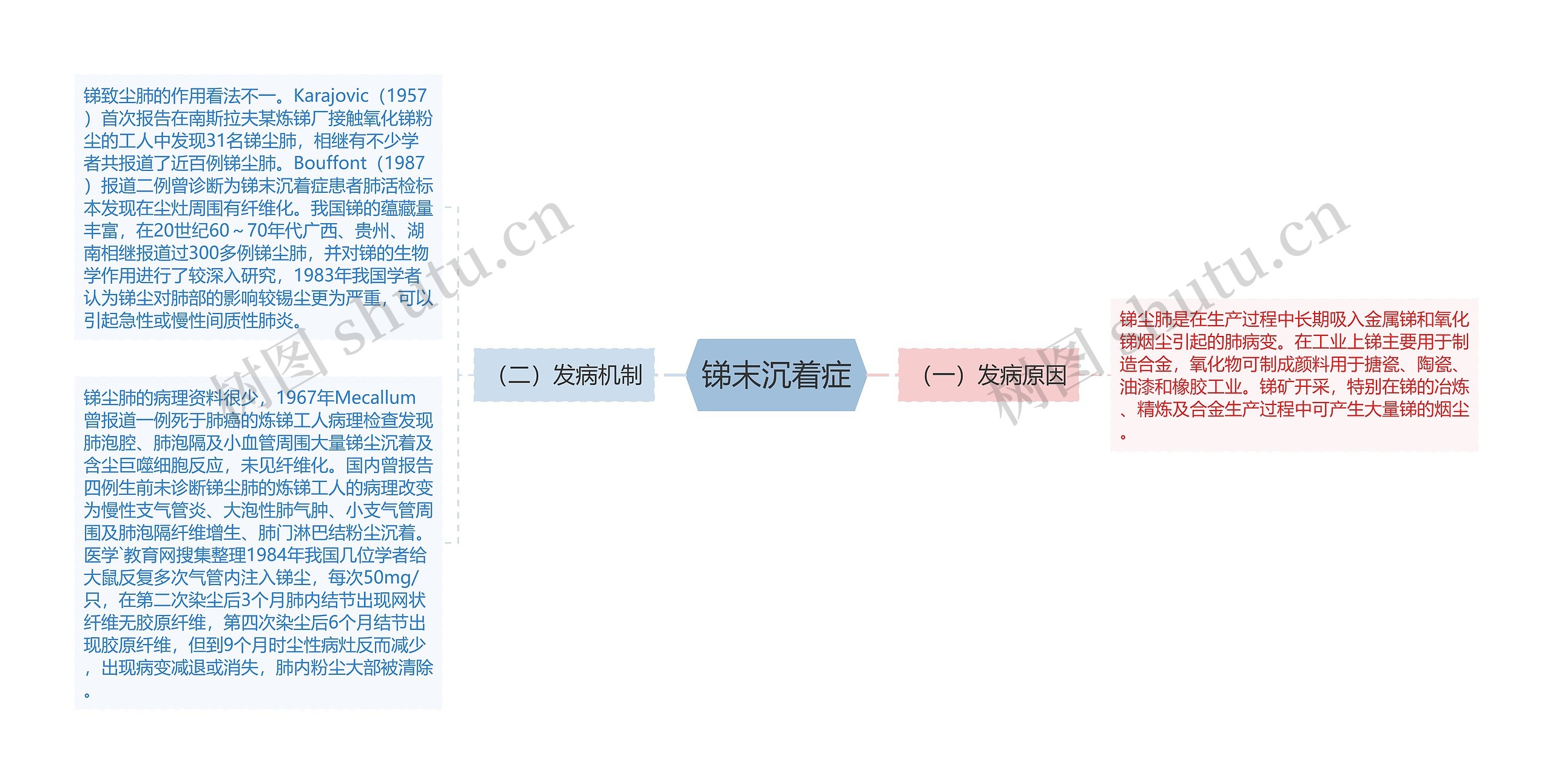 锑末沉着症思维导图