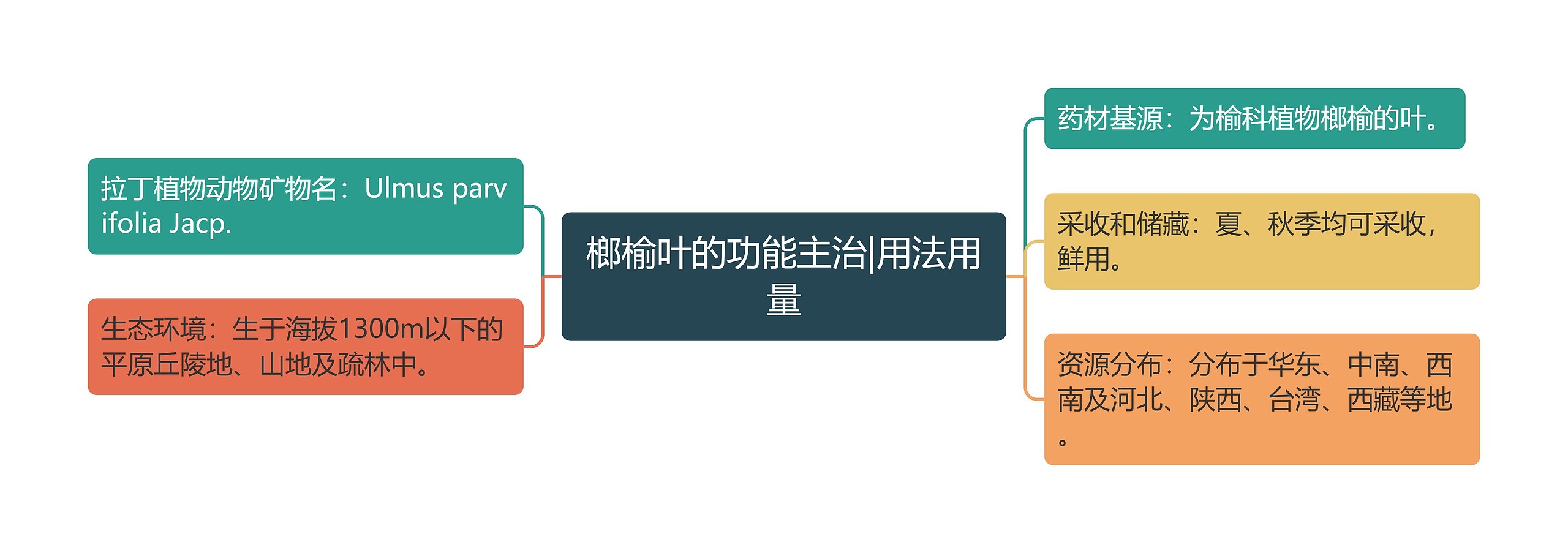 榔榆叶的功能主治|用法用量思维导图