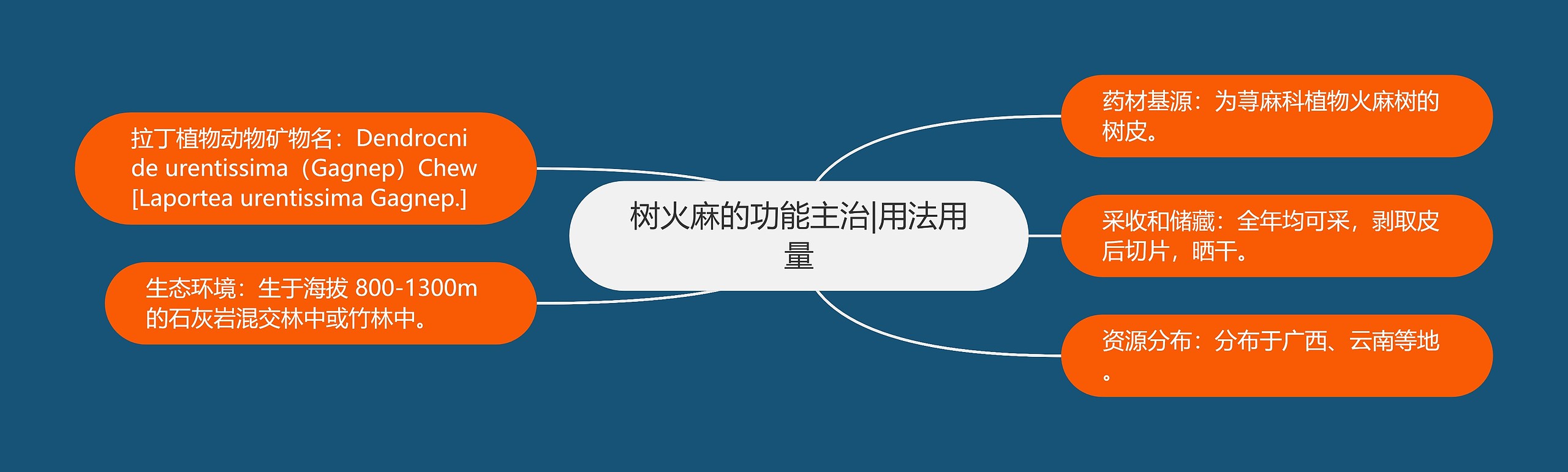 树火麻的功能主治|用法用量