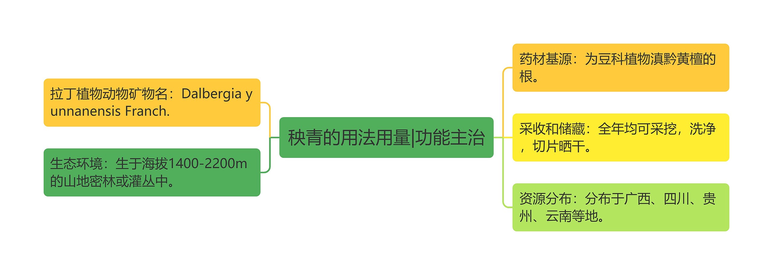 秧青的用法用量|功能主治思维导图